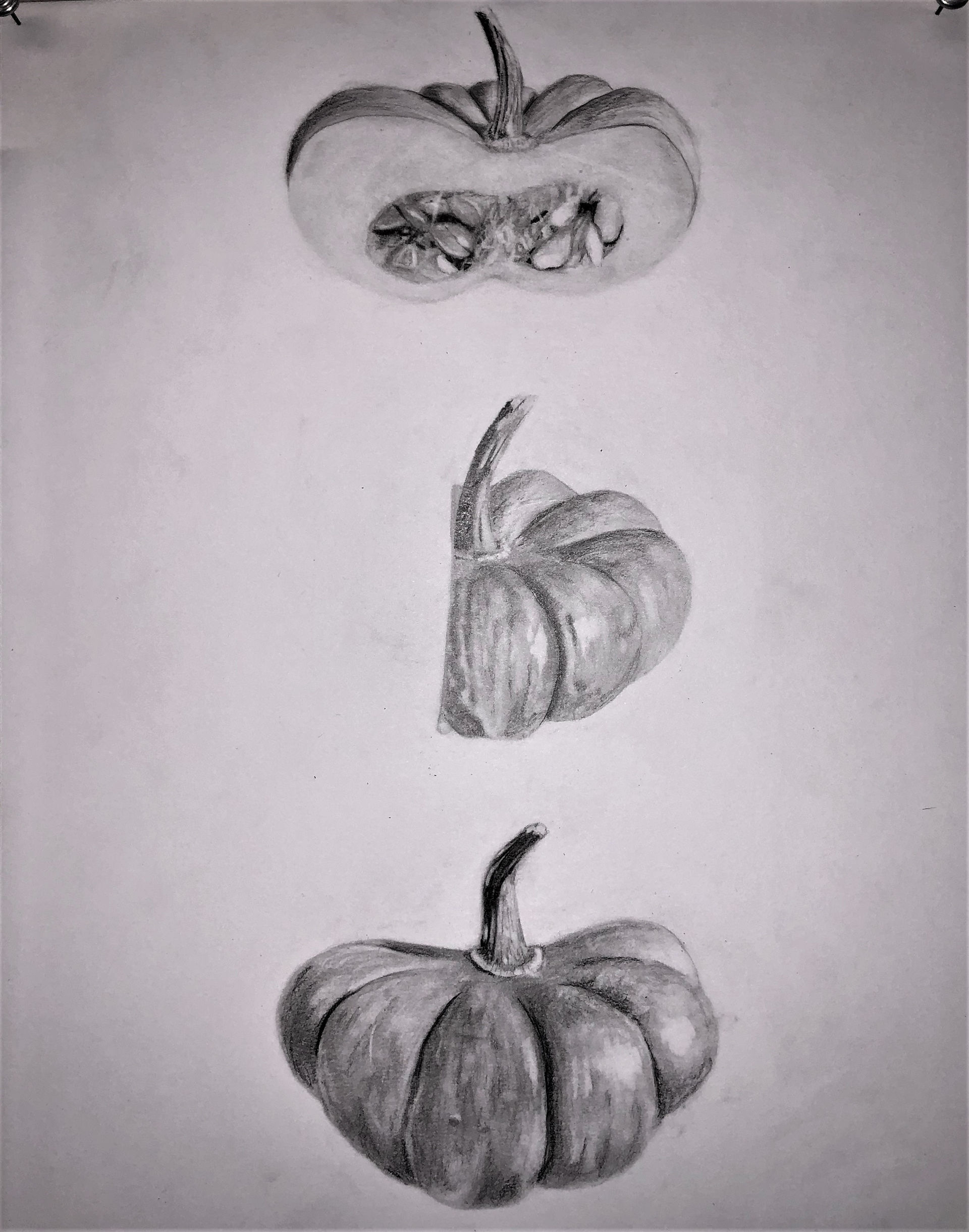 Exploring contrast, texture and levels of value.