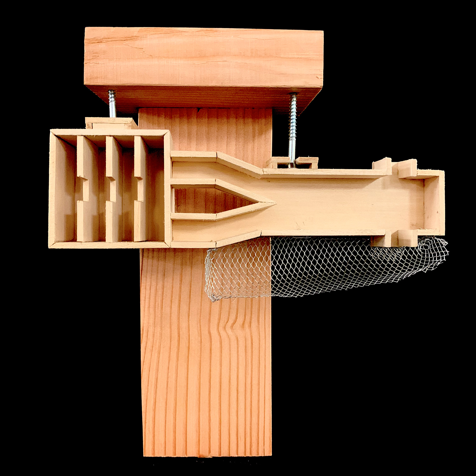 Physical model of the habitat created for the Blue Mud Dauber: 1:1 scale.