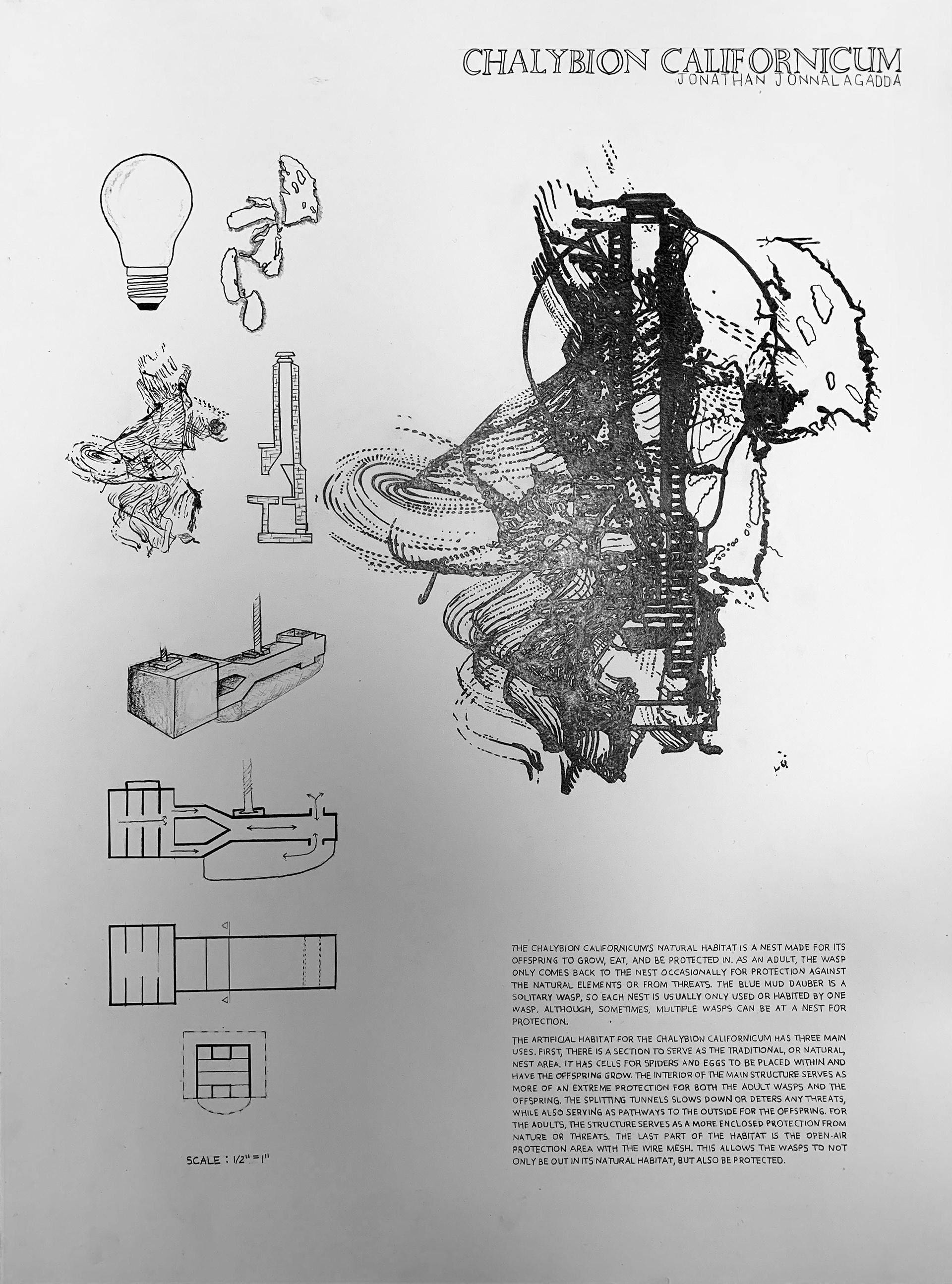 Graphite renderings form the process of ideograms, layering different objects/ideas together in order to make an abstract form. This was then used to create the habitat for the Blue Mud Dauber.