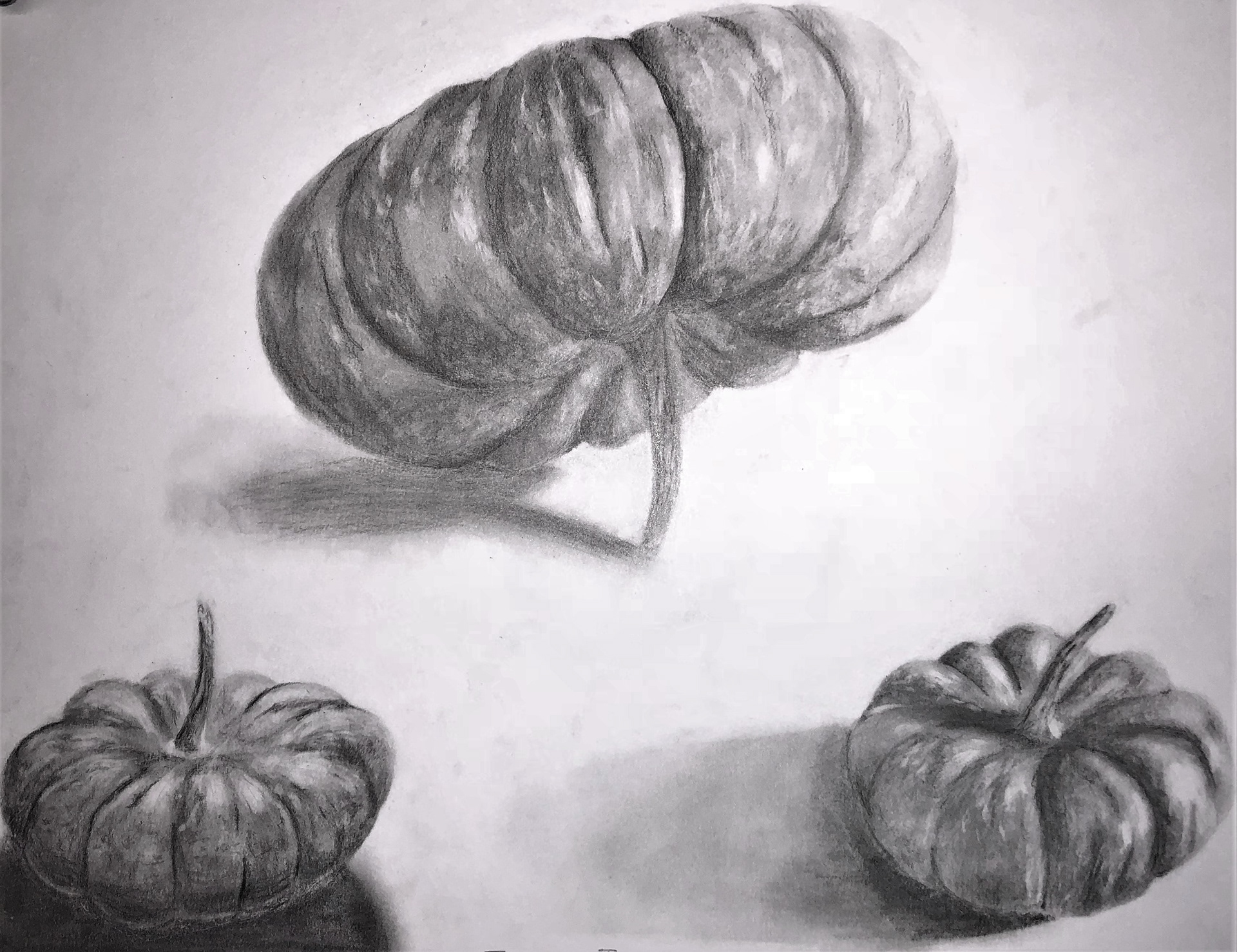 Exploring contrast, texture and levels of value.