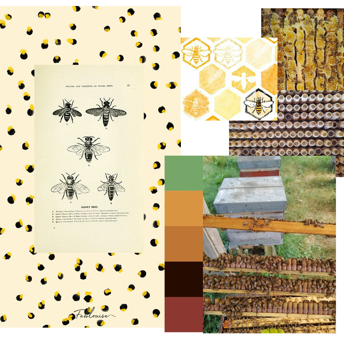 Moodboard piste force de rucher