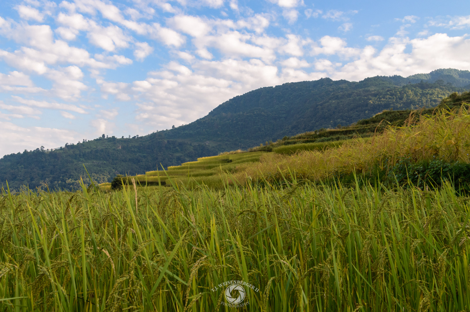 Rural Himlayan Rice Terraces - Panchase, Pokhara, Nepal