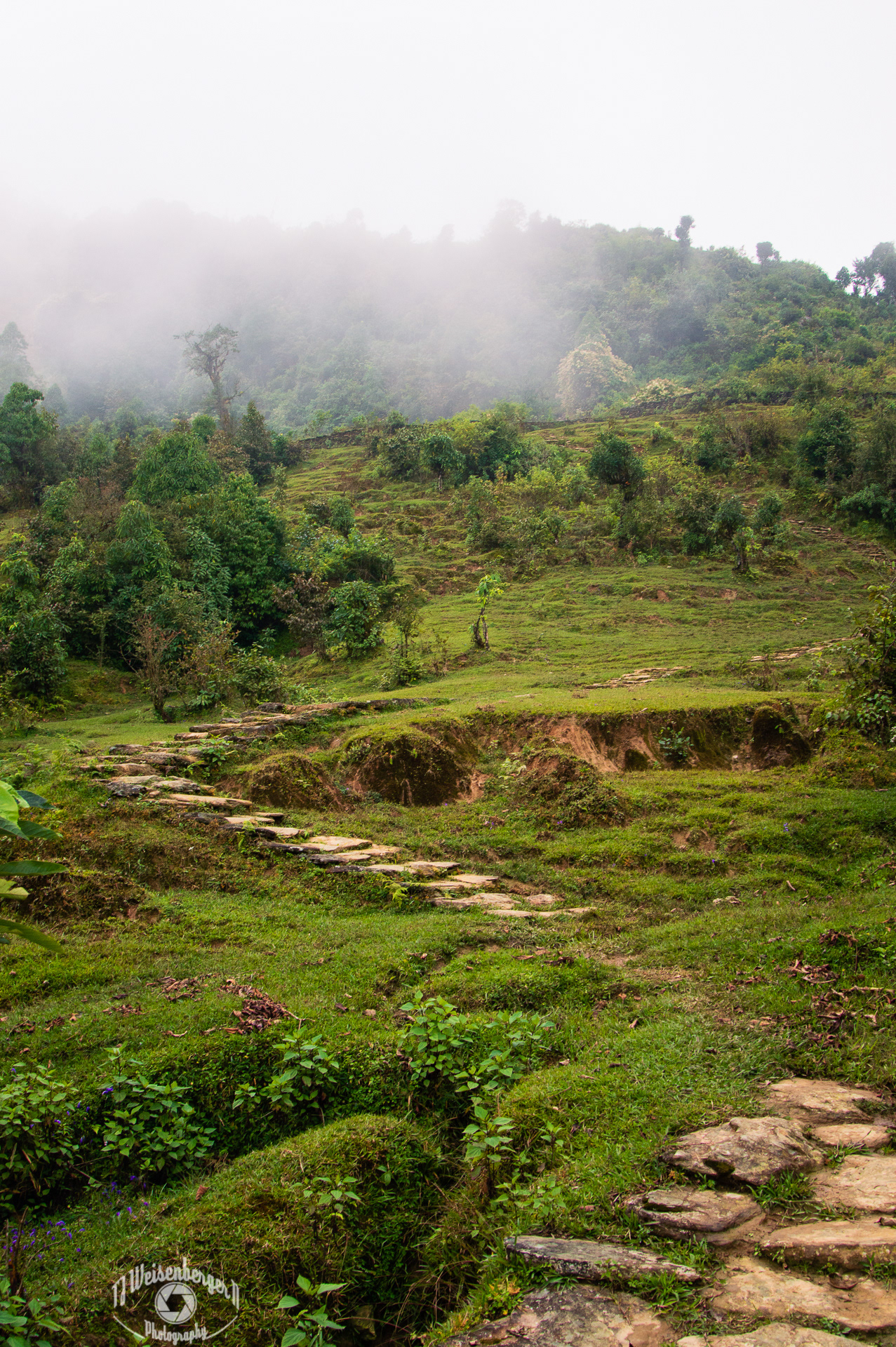 Foggy Himalayan Pathway - Panchase, Pokhara, Nepal; Asia; Cloudy; Fog; Freedom; Hiking; Himalayas; Journey; Landscape; Landscape - Scenery; Majestic; Mountain; Mountains; Mystic; Nepal; No People; Panchase; Photography; Planet Earth; Scenics - Nature; Tourism; Trail; Tranquil Scene; Travel; Travel Destinations; Vertical; color image; nature; outdoors; ; TJ; Weisenberger