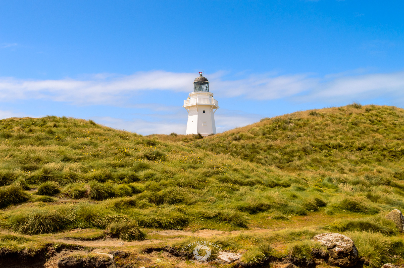 Waipapa Point Lighthouse in Grass Knolls - South Island, New Zealand