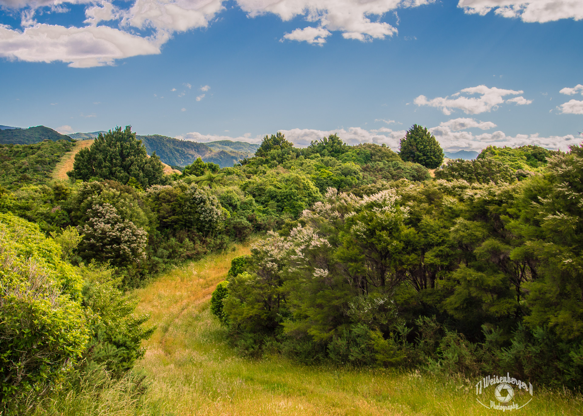 Abel Tasman Inland Track, Great Walk - South Island, New Zealand