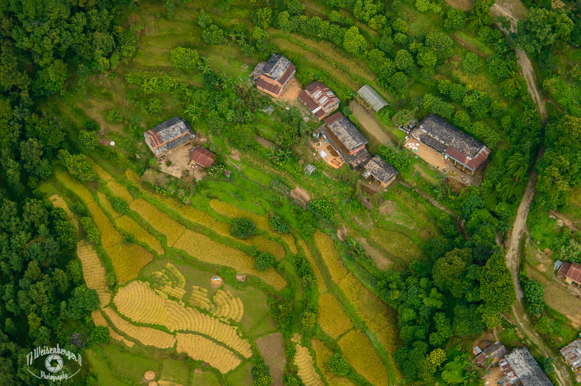 Paragliding Over Rice Terraces - Pokhara, Nepal