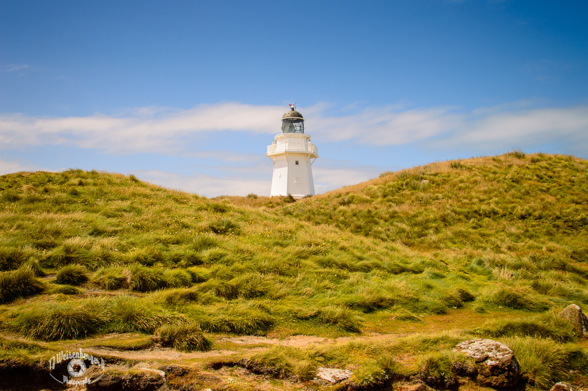 Waipapa Point Lighthouse in Grass Knolls - South Island, New Zealand