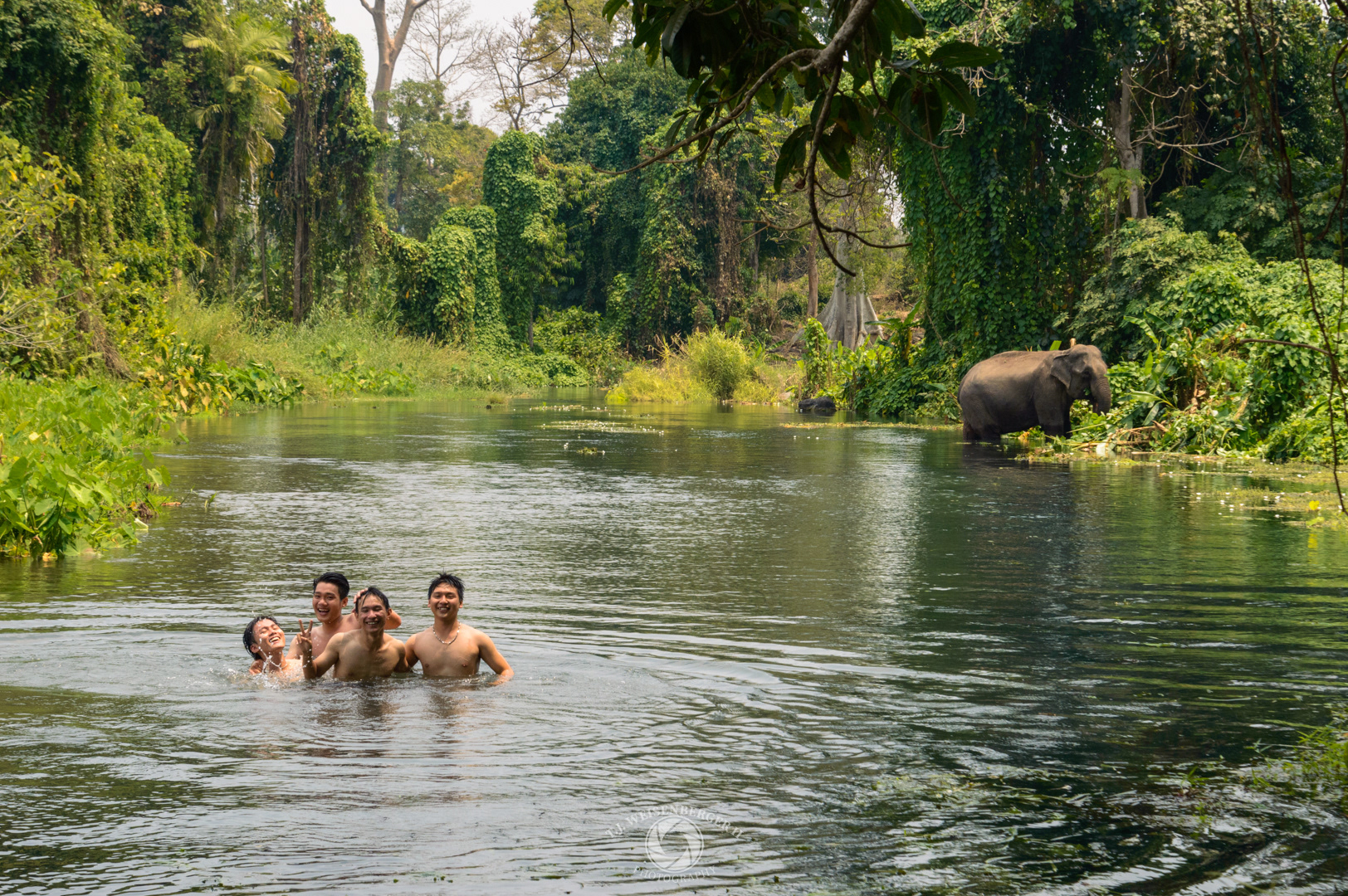 Young Vietnamese Men Swimming and Playing in a Jungle River near Domesticated Elephant - Near Hue, Vietnam