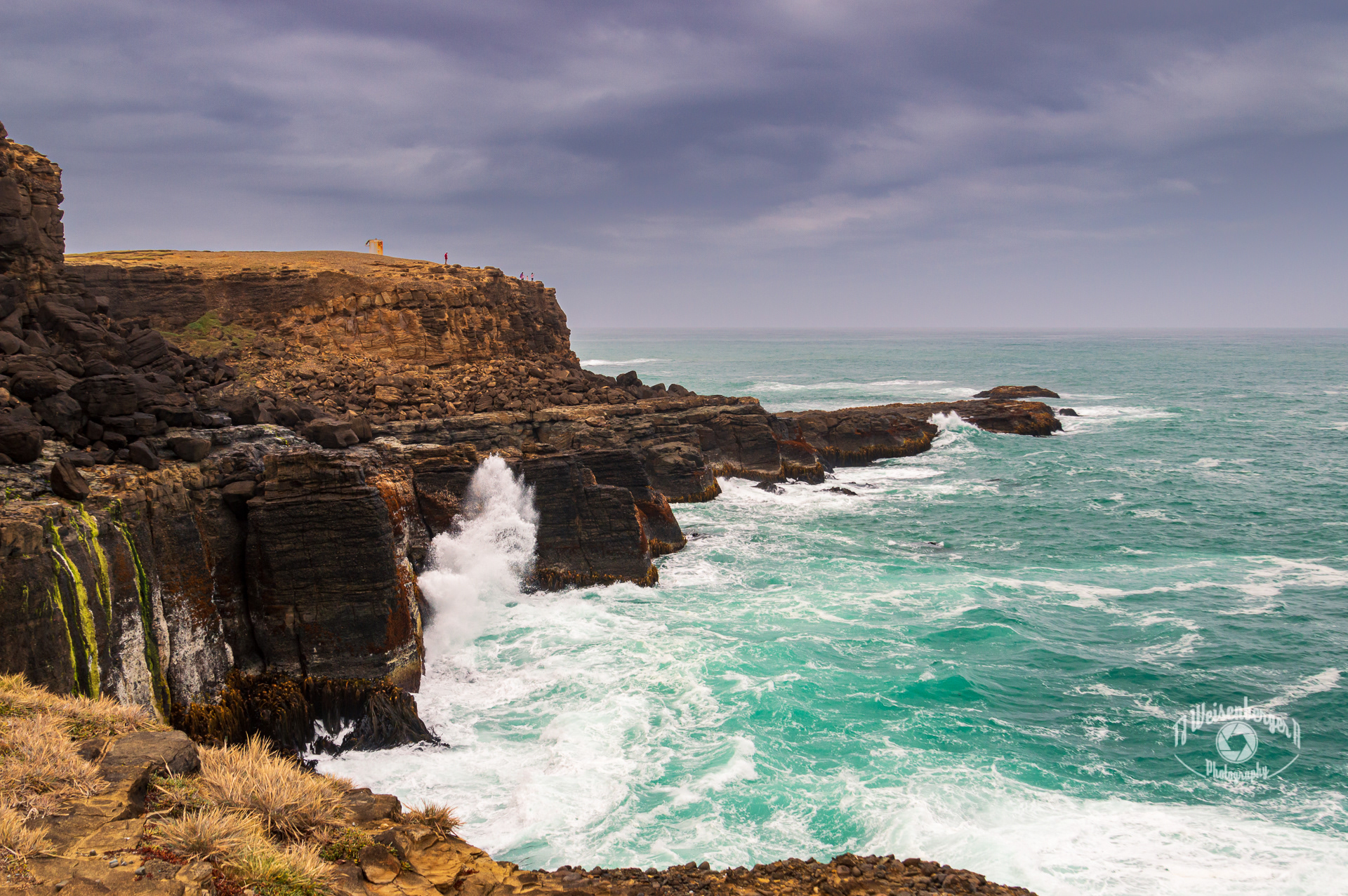 Slope Point the Southernmost Point of South Island - New Zealand