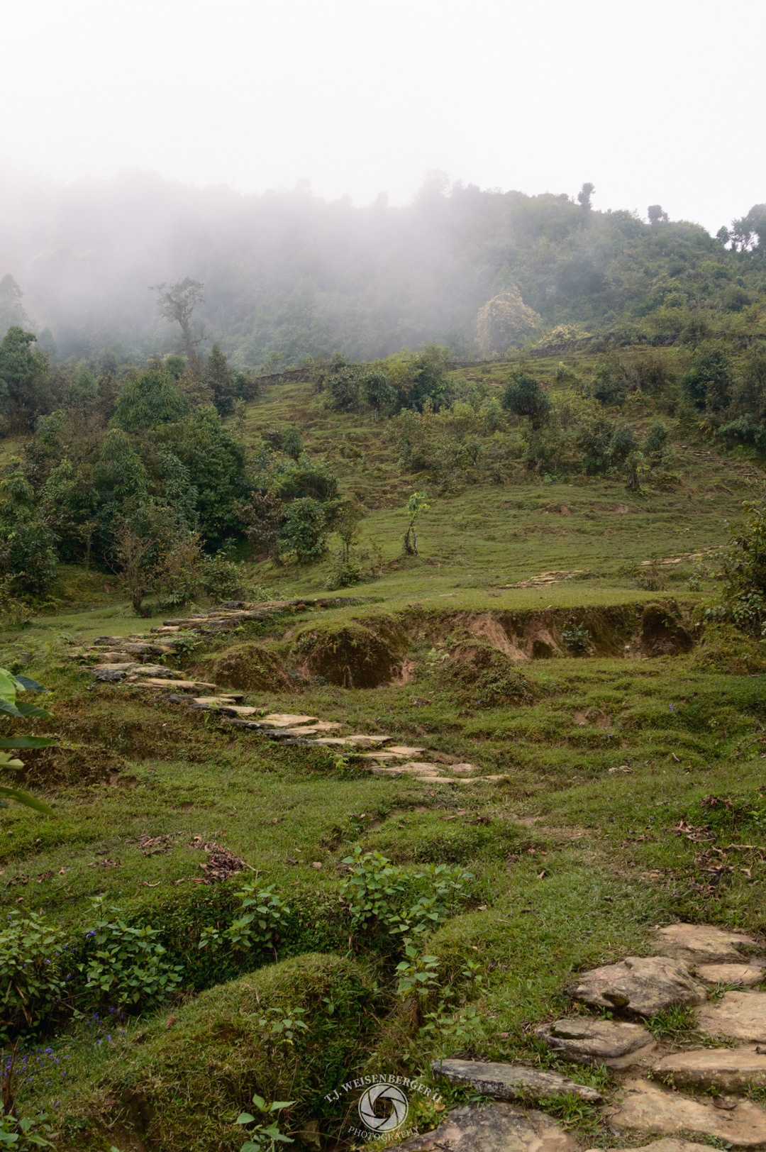 Foggy Himalayan Pathway - Panchase, Pokhara, Nepal