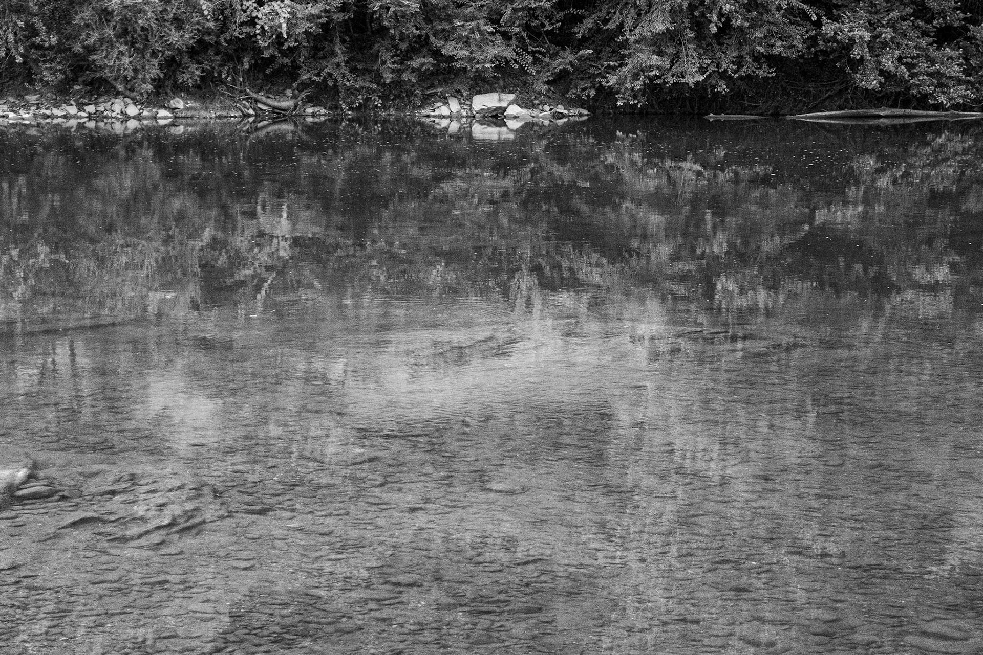 Baignade Sauvage, Ambialet, aout 2021