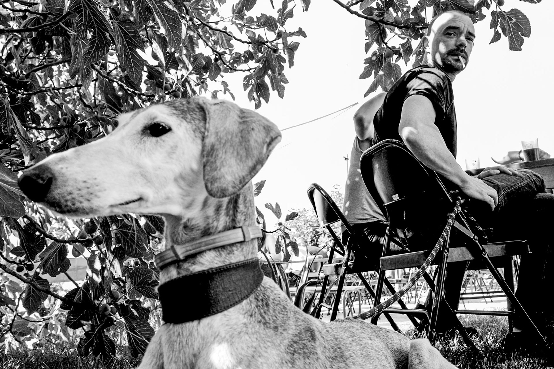 Tanguy &amp; Ellington à La Poutre 2018