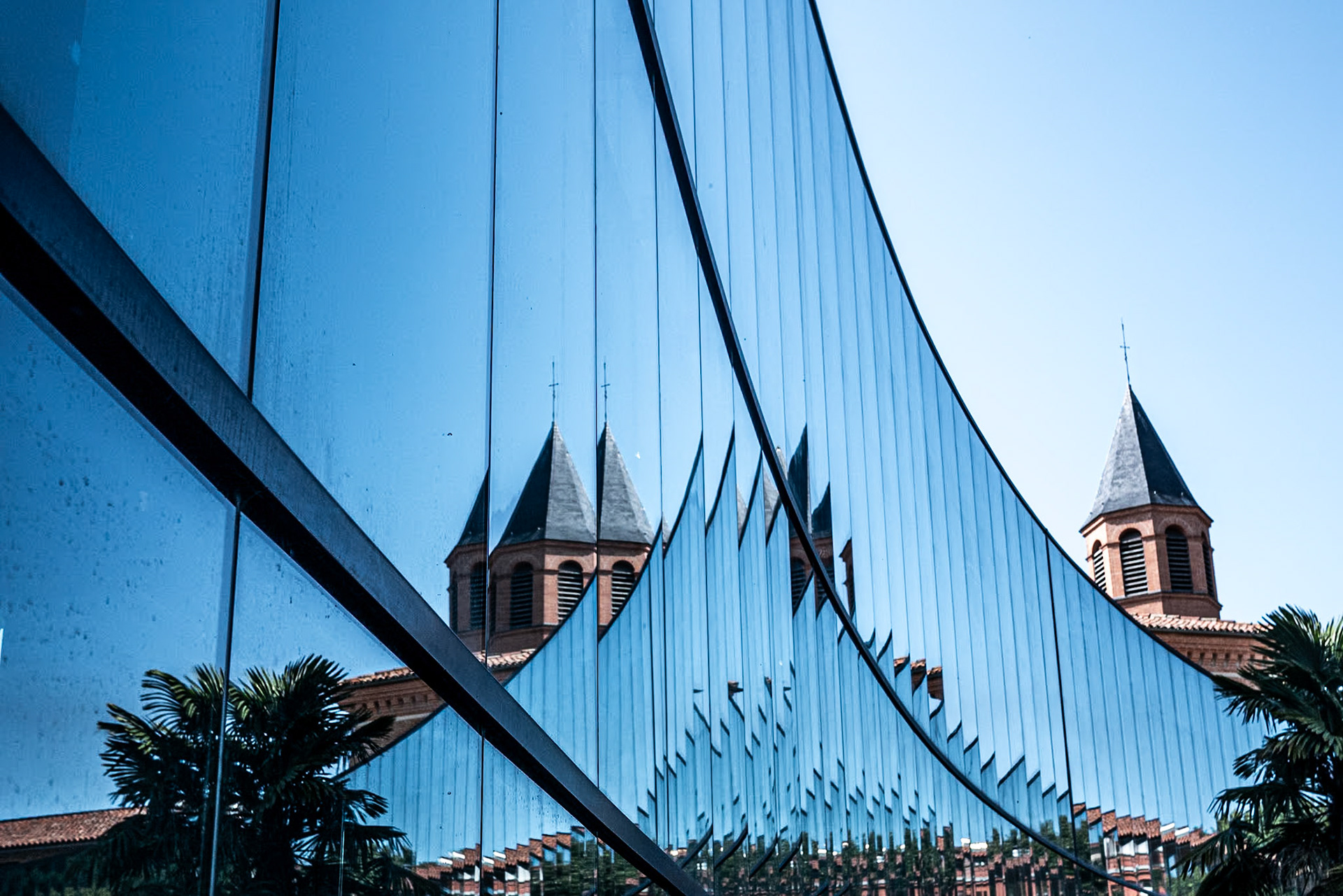 Muséum, Toulouse, juillet 2023