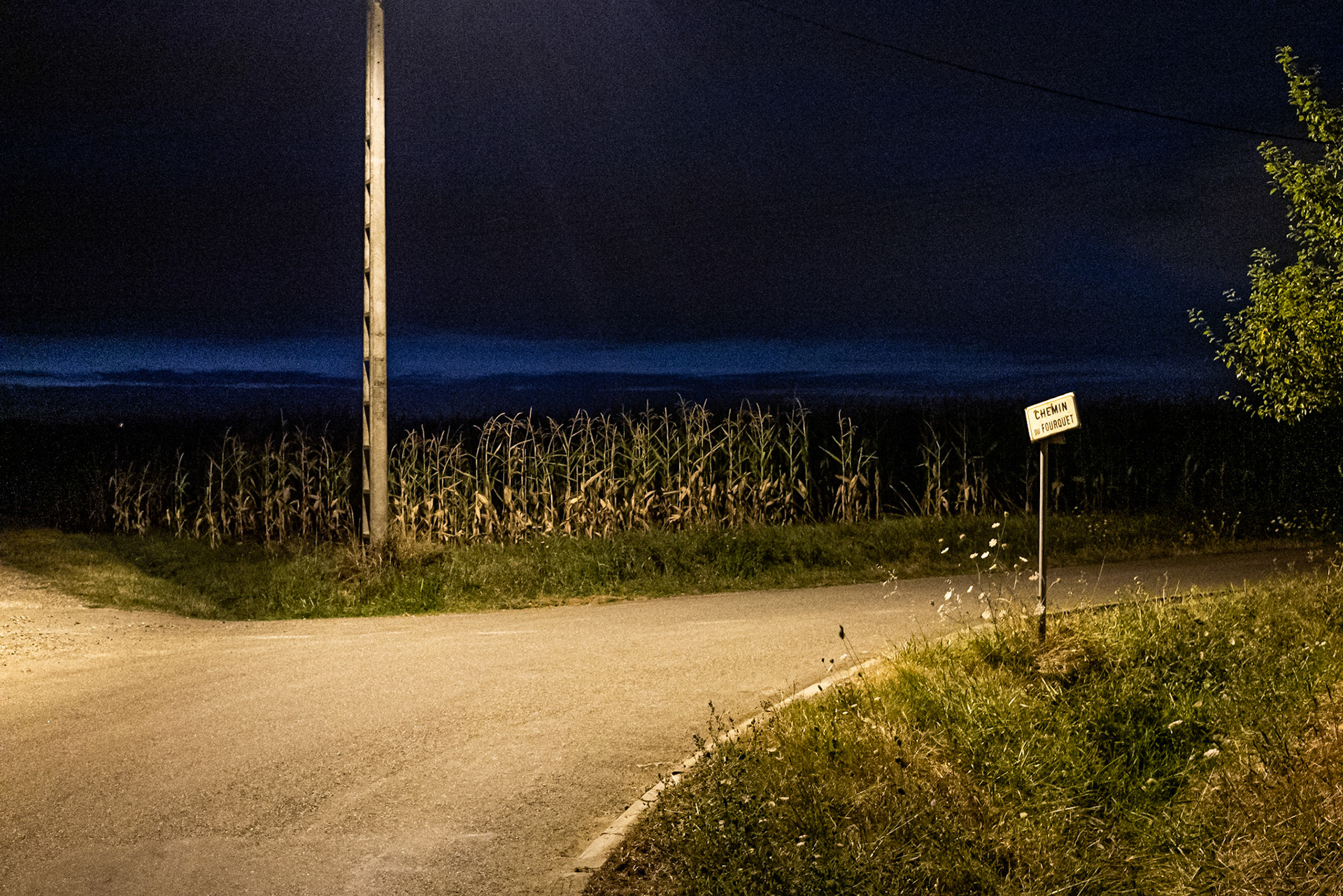 Chemin du Fourquet, Labarthe, 2020
