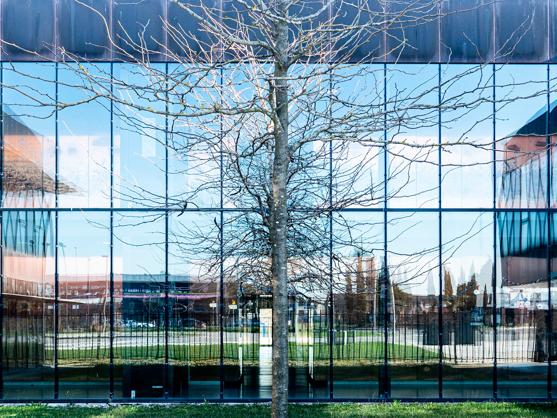 Collège, Labarthe-sur-Lèze, décembre 2019