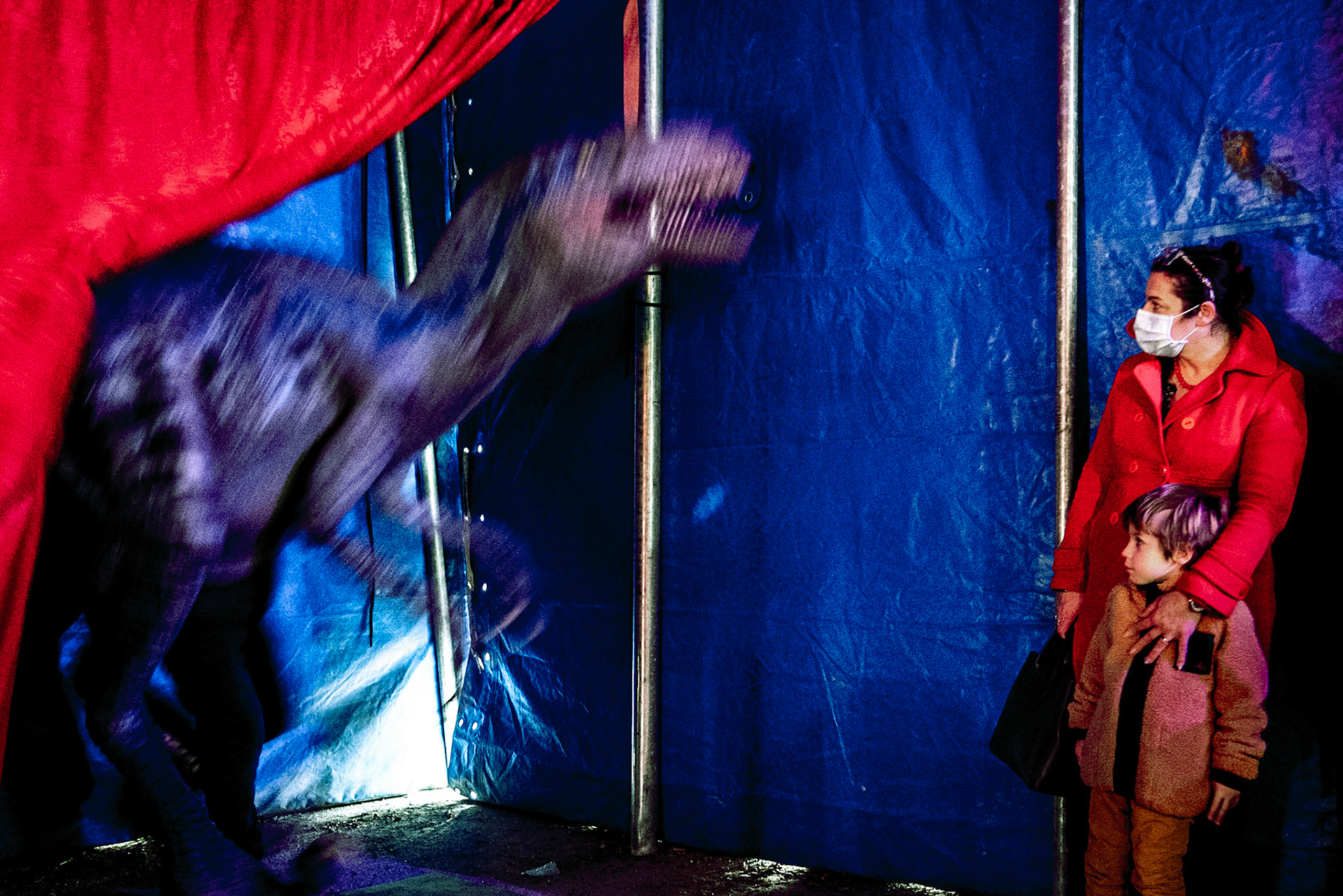 Exposition dinosaures, Toulouse, mars 2022