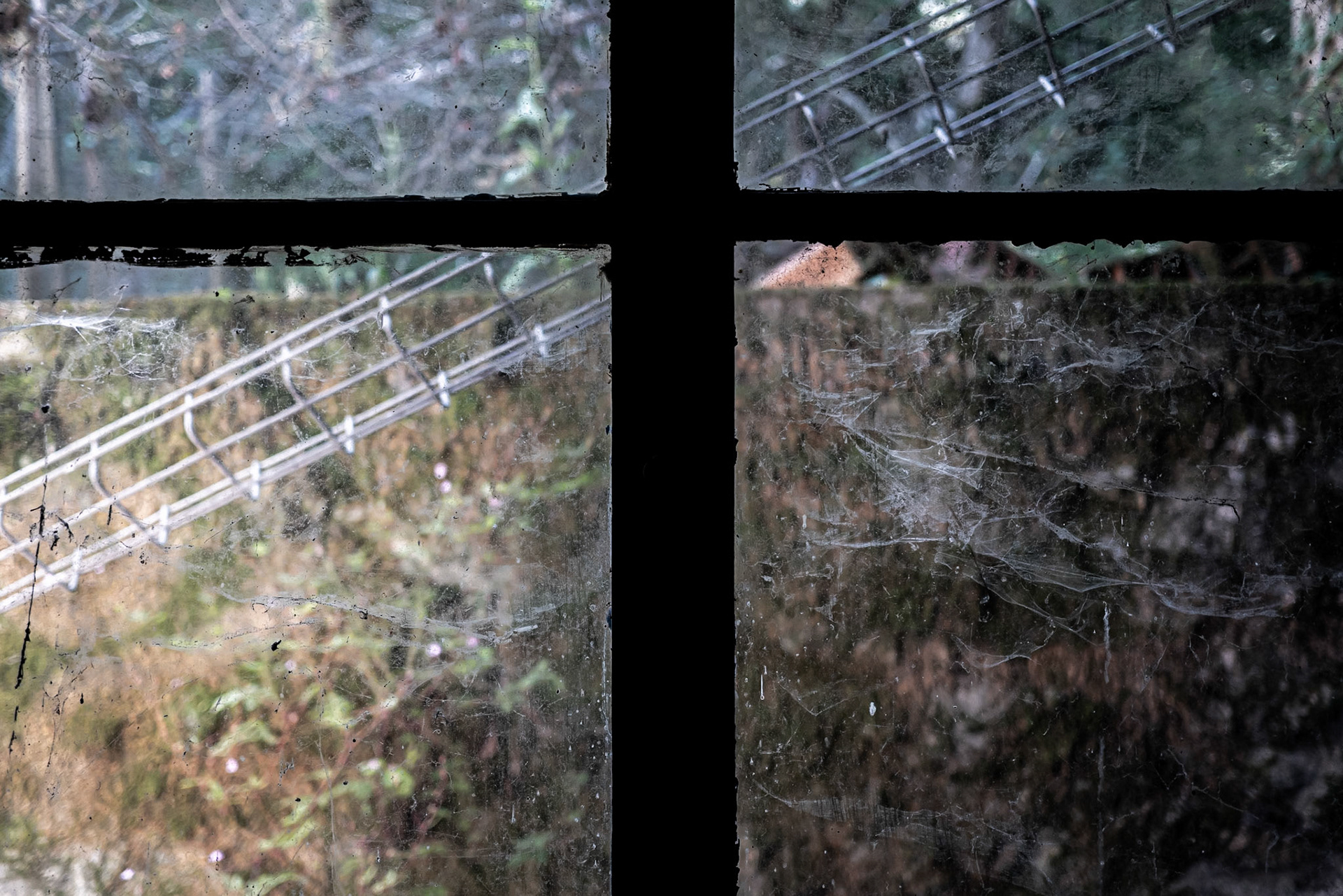 Festival Plume d'Ange, Dufort juillet 2024