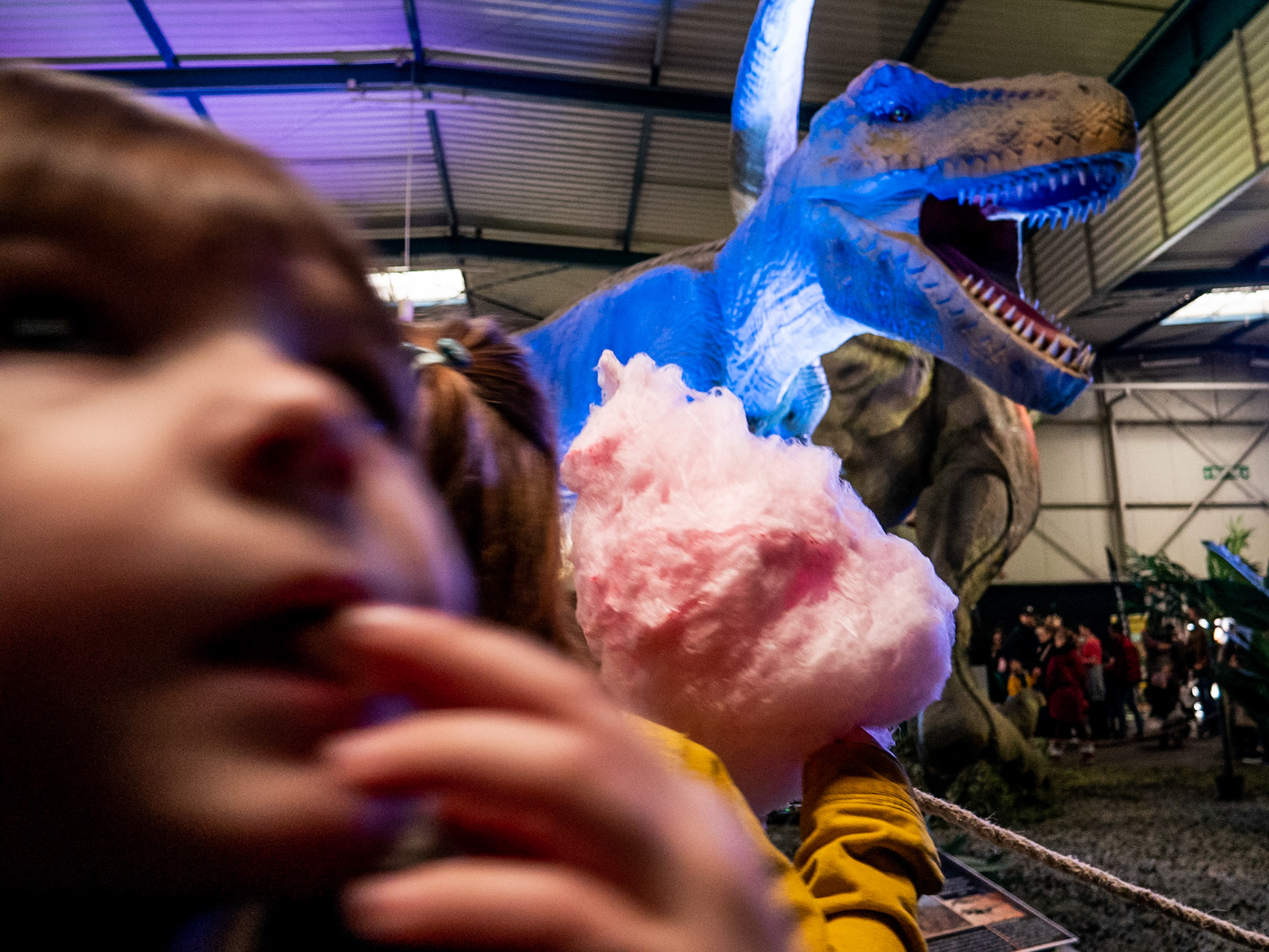 Expo dinosaures, Toulouse, janvier 2020