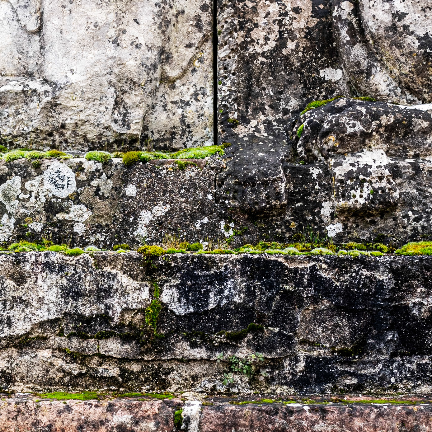 Chez Xavier, Lisle-sur-Tarn, 01/2024