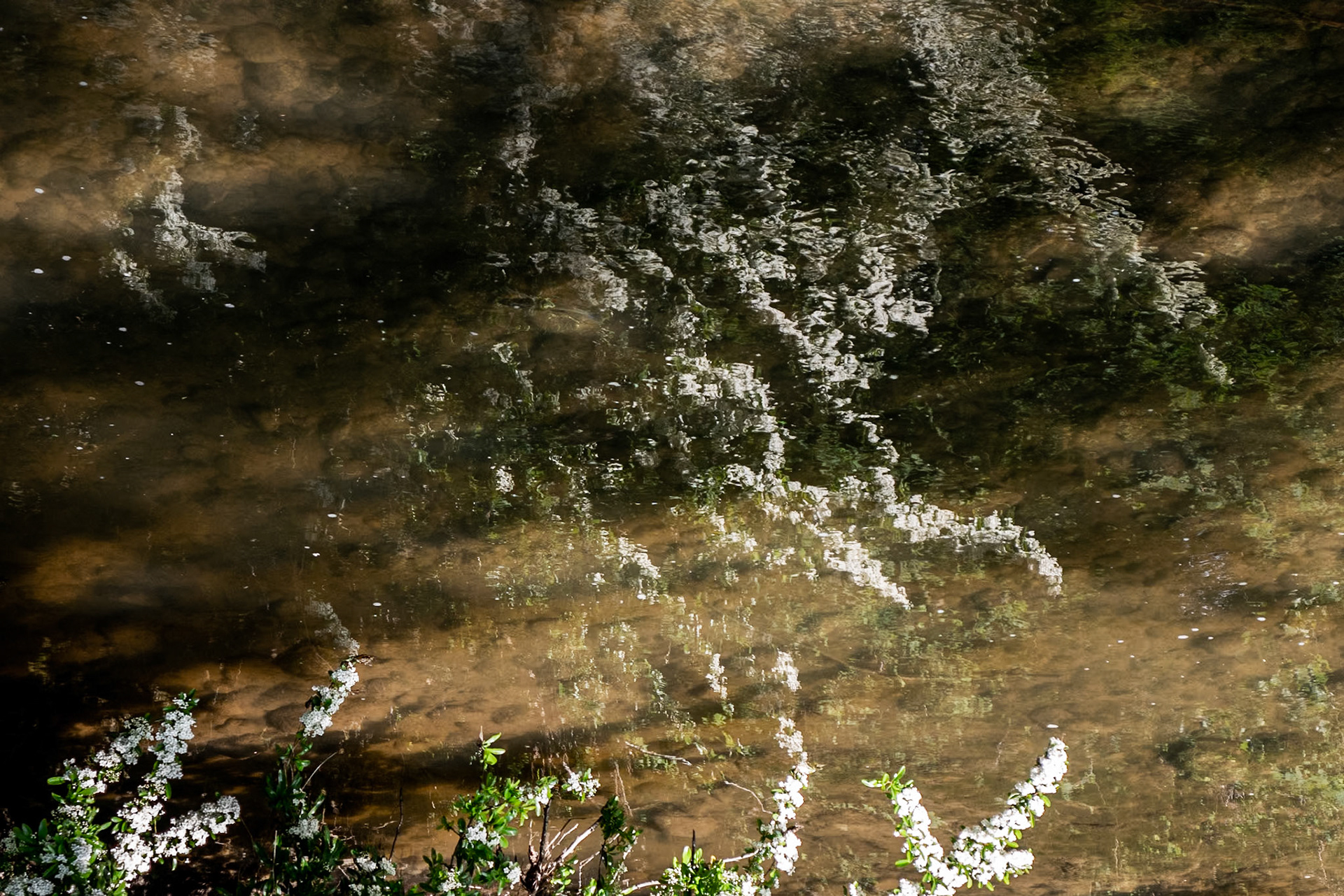 Labarthe-sur-Lèze, 2021