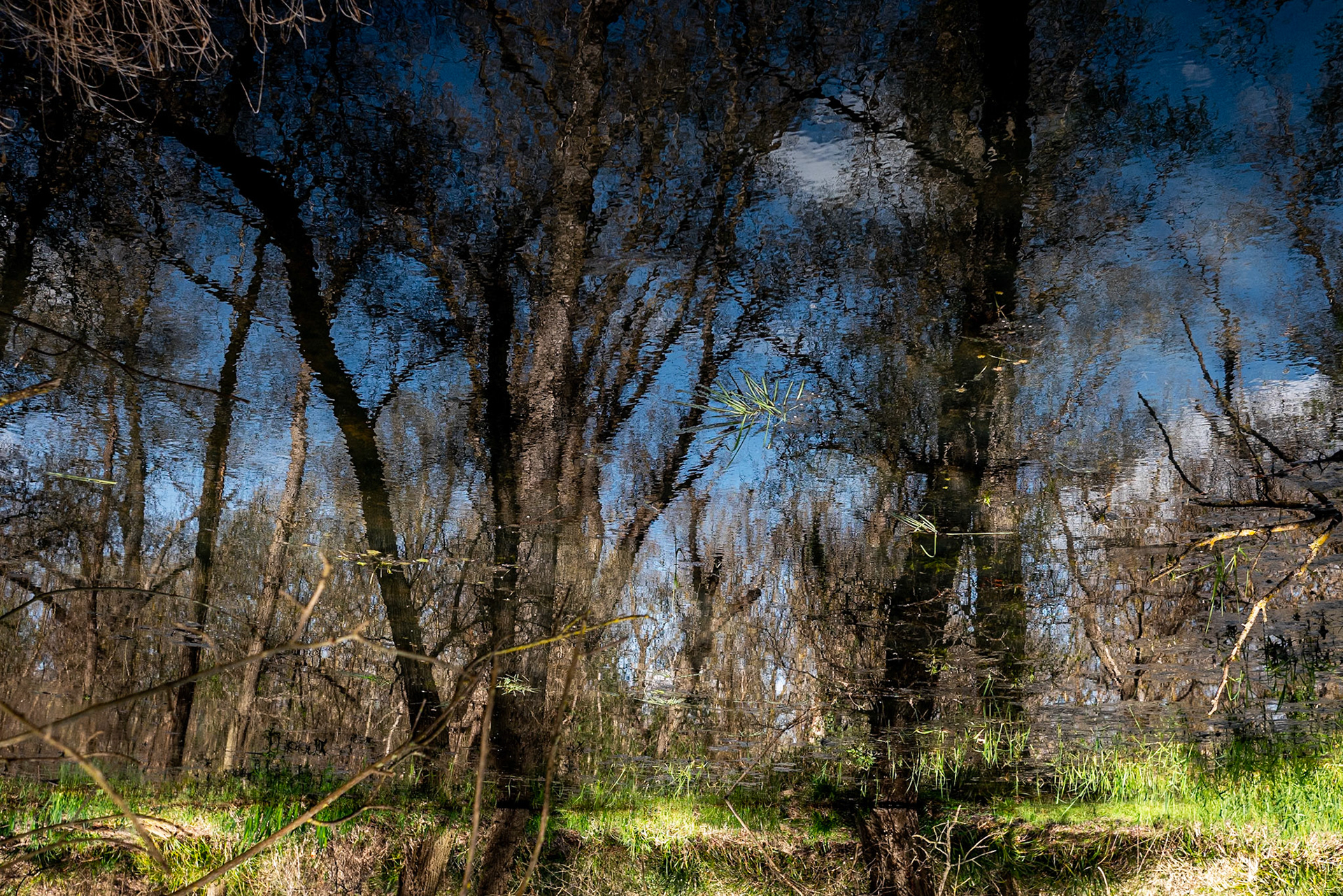 Confluent Ariège/Garonne, Lacroix-Falgarde, mars 2023