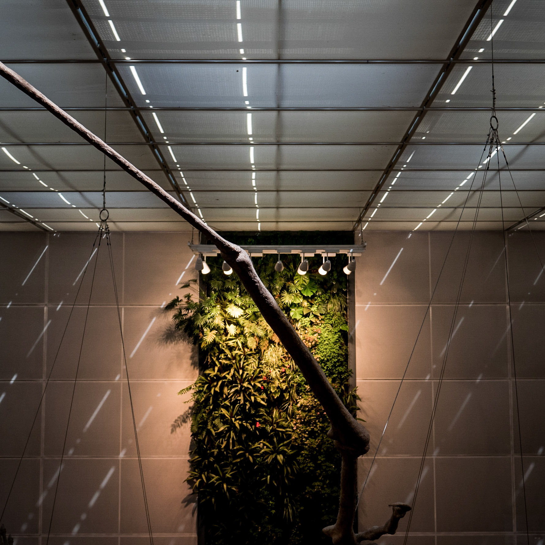 Museum, Toulouse, 2019