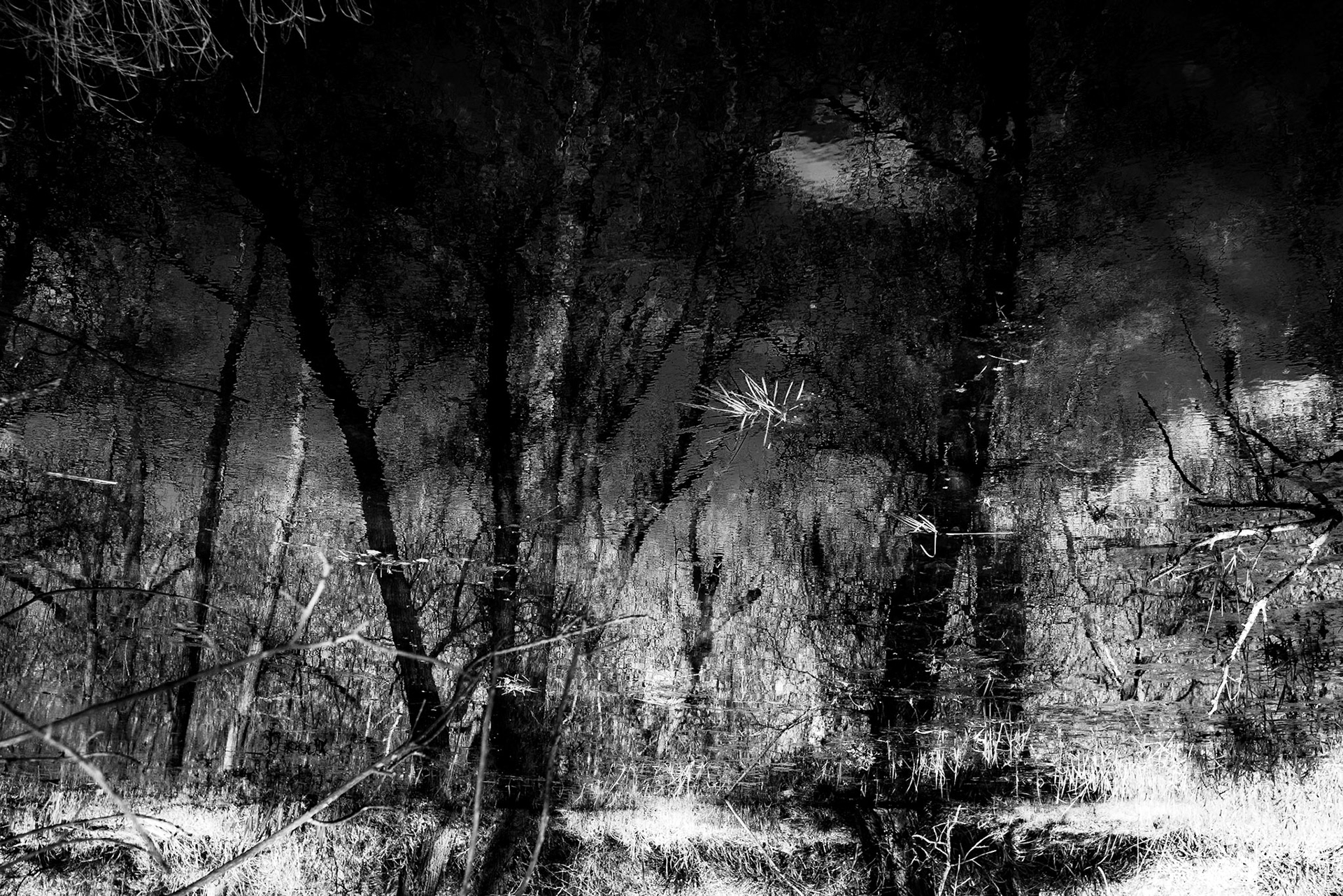 Confluent Ariège/Garonne, Lacroix-Falgarde, mars 2023