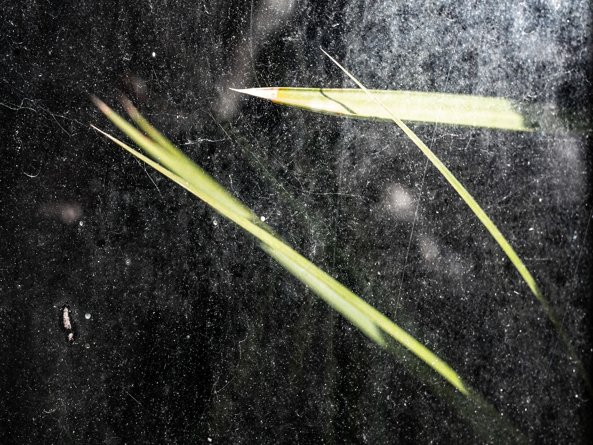 Èch @ Klub Kob, Treignac, février 2023