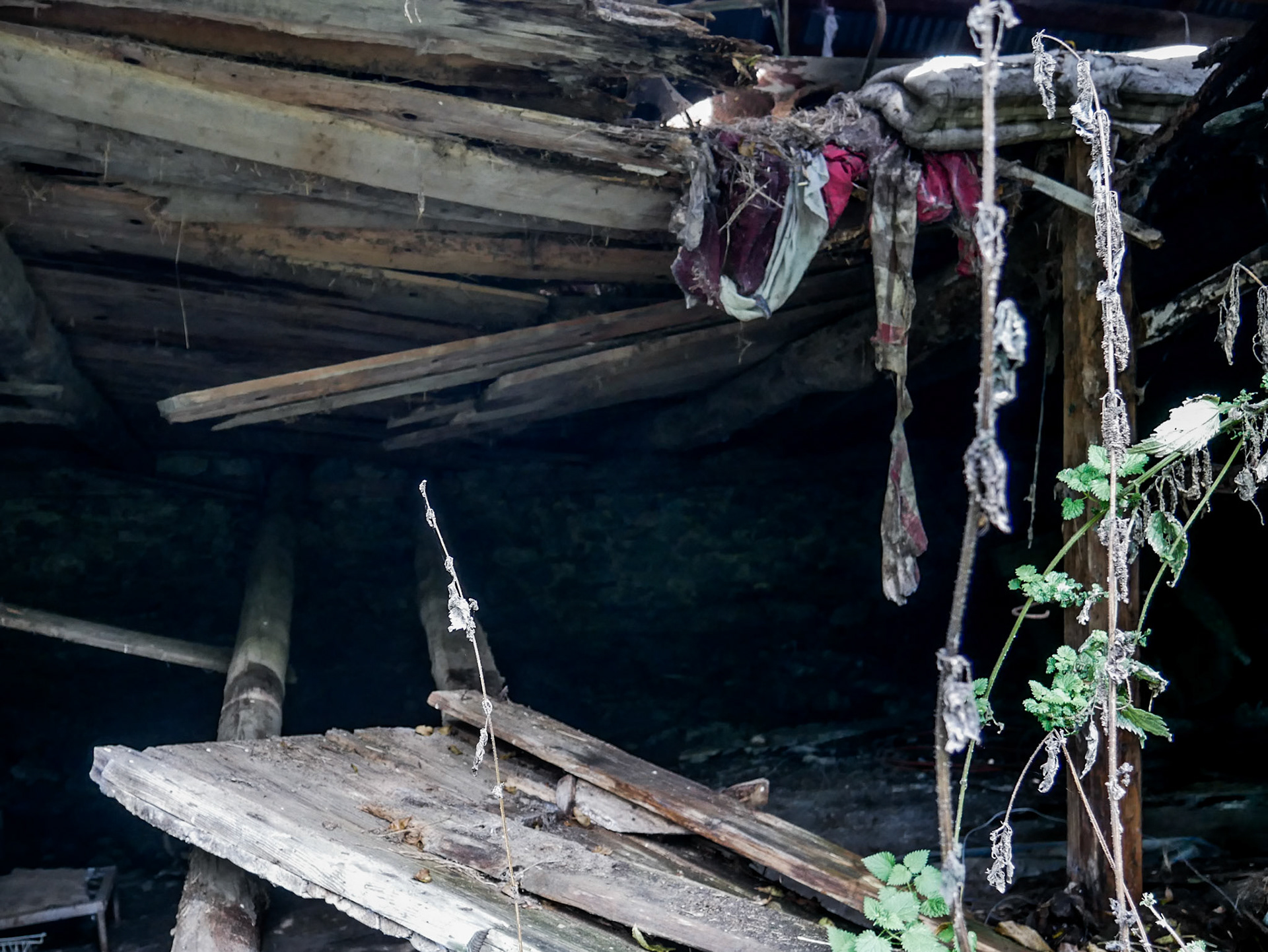 Maison abandonée, Germ