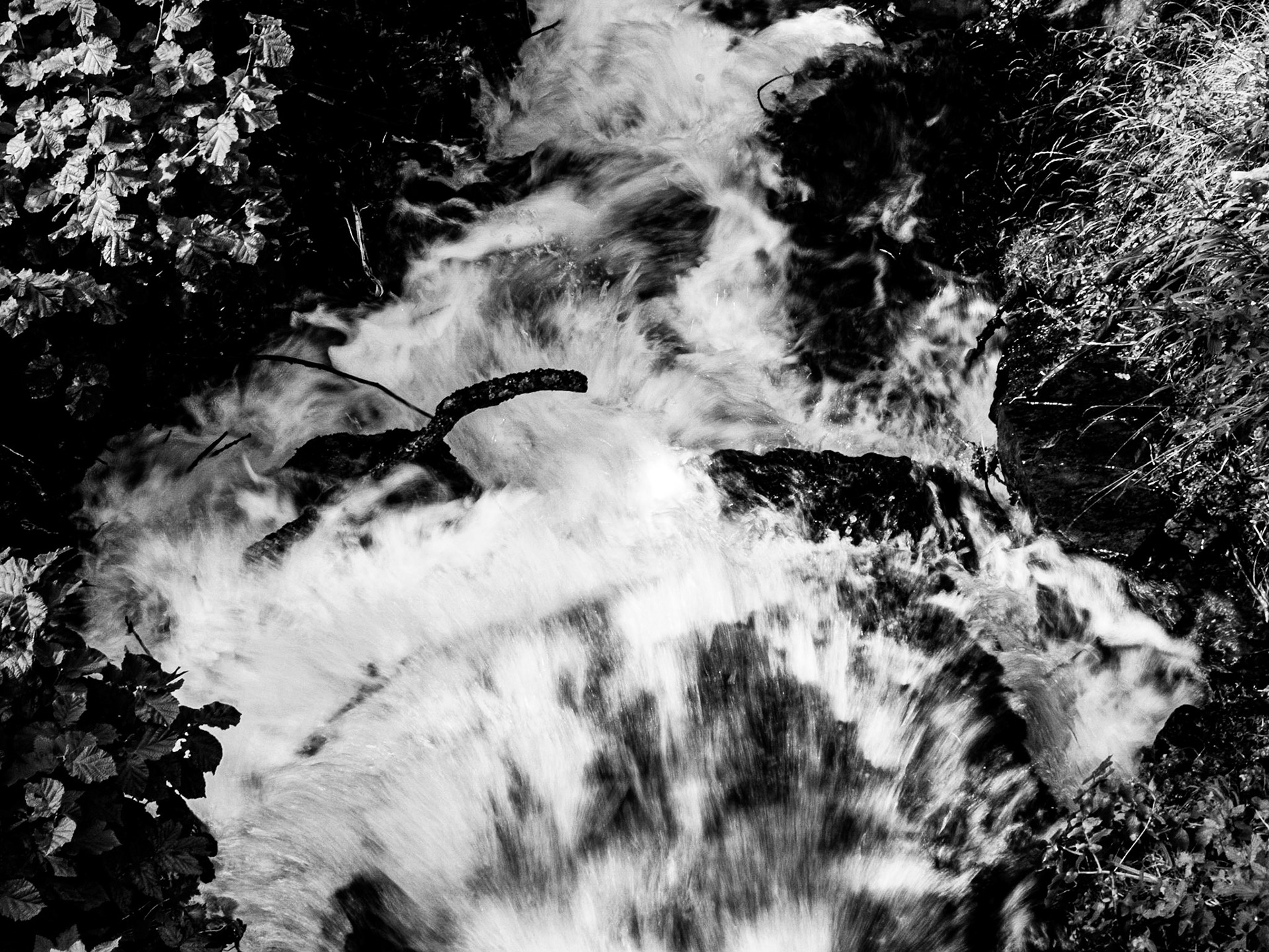 Torrent de montagne, Germ, 2019