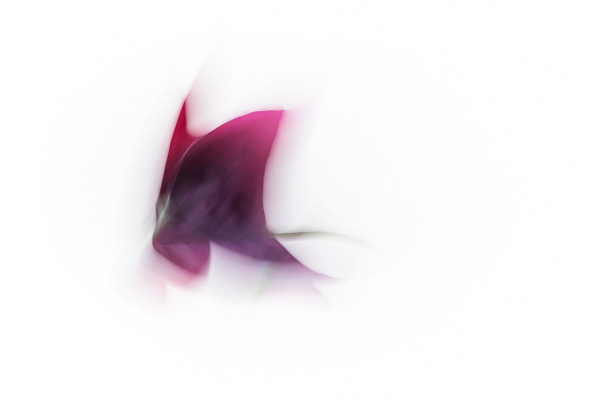 Shapeshifting V