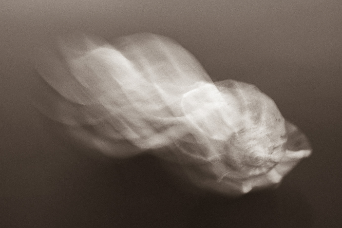 What Comes Around III