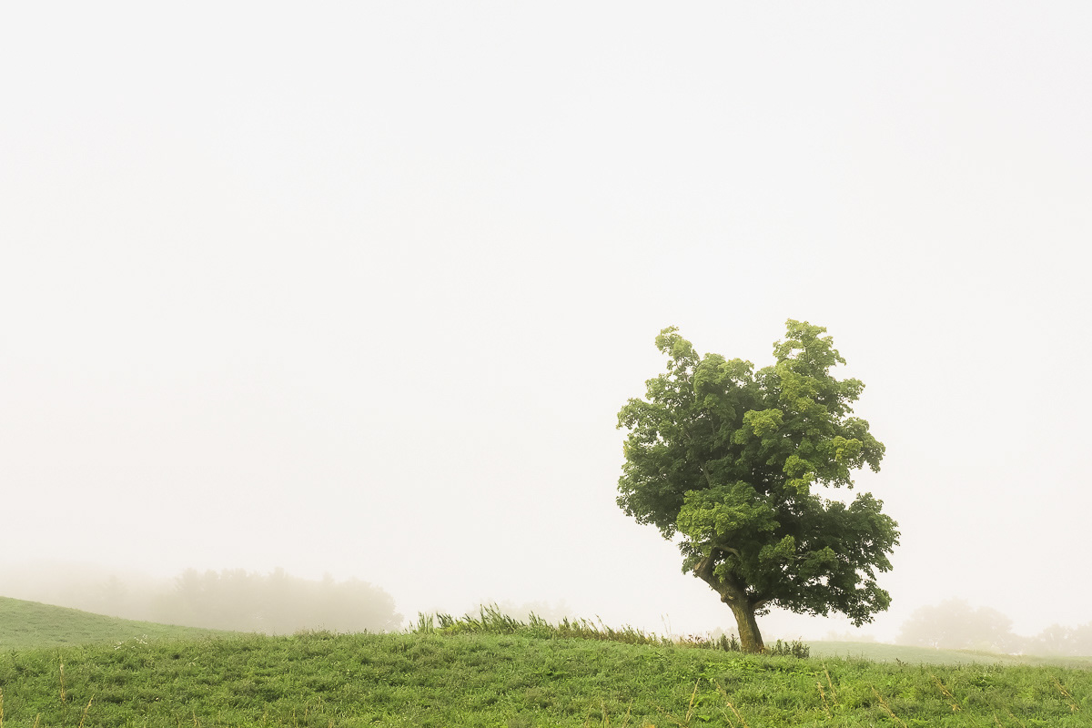 Alone, Not Lonely