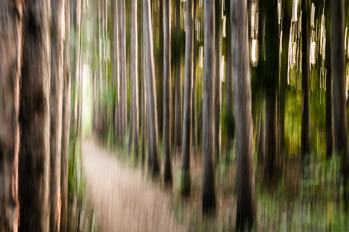Straight and Narrow
