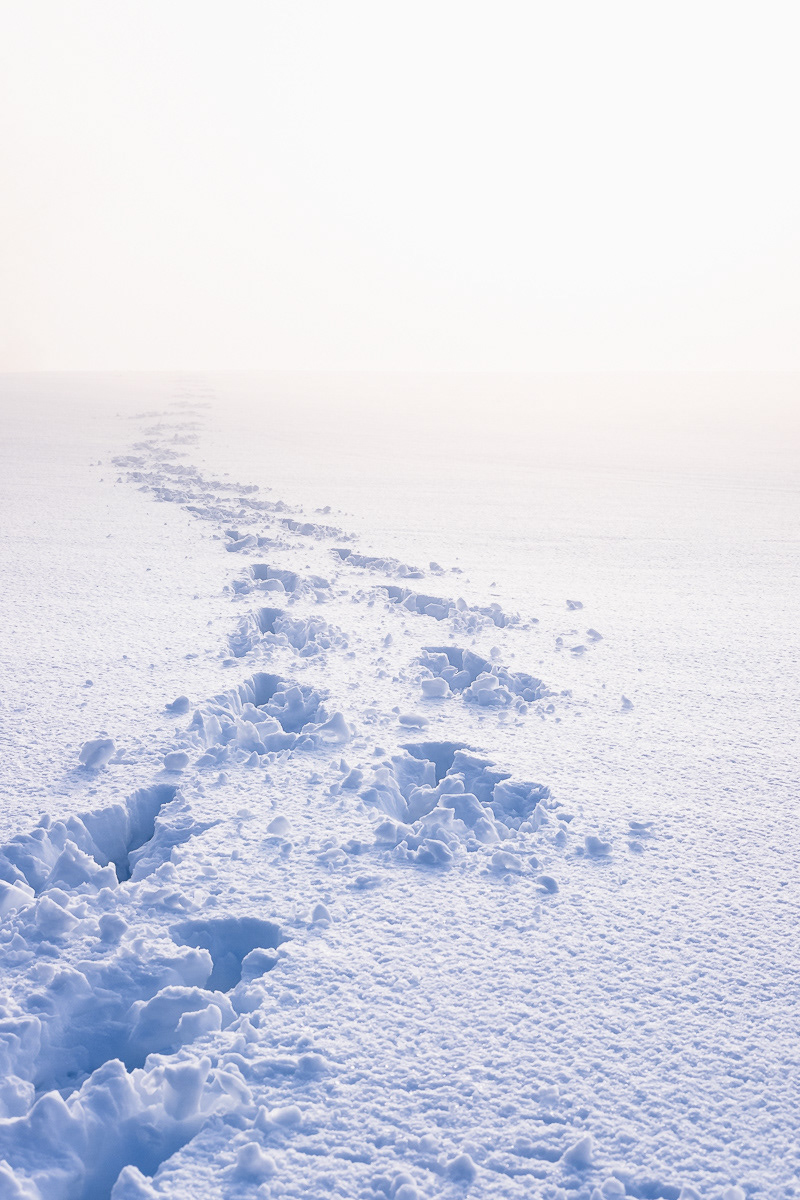 Journey