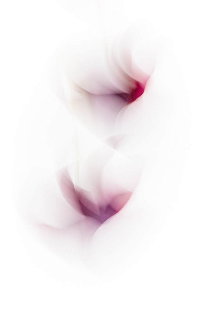 Shapeshifting II
