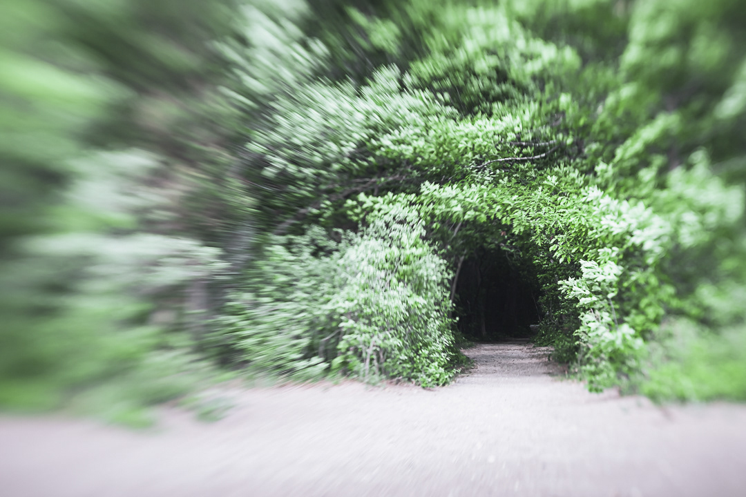 Portal