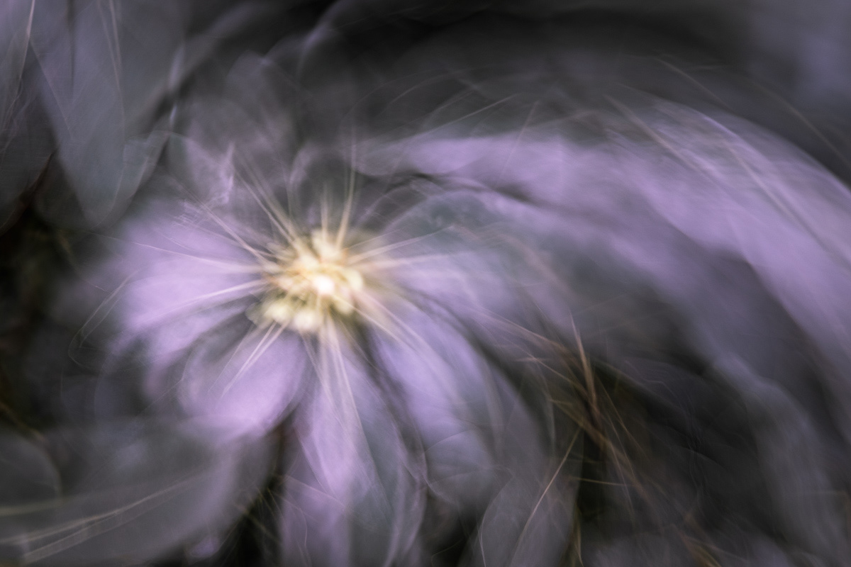 She Exhales Gently