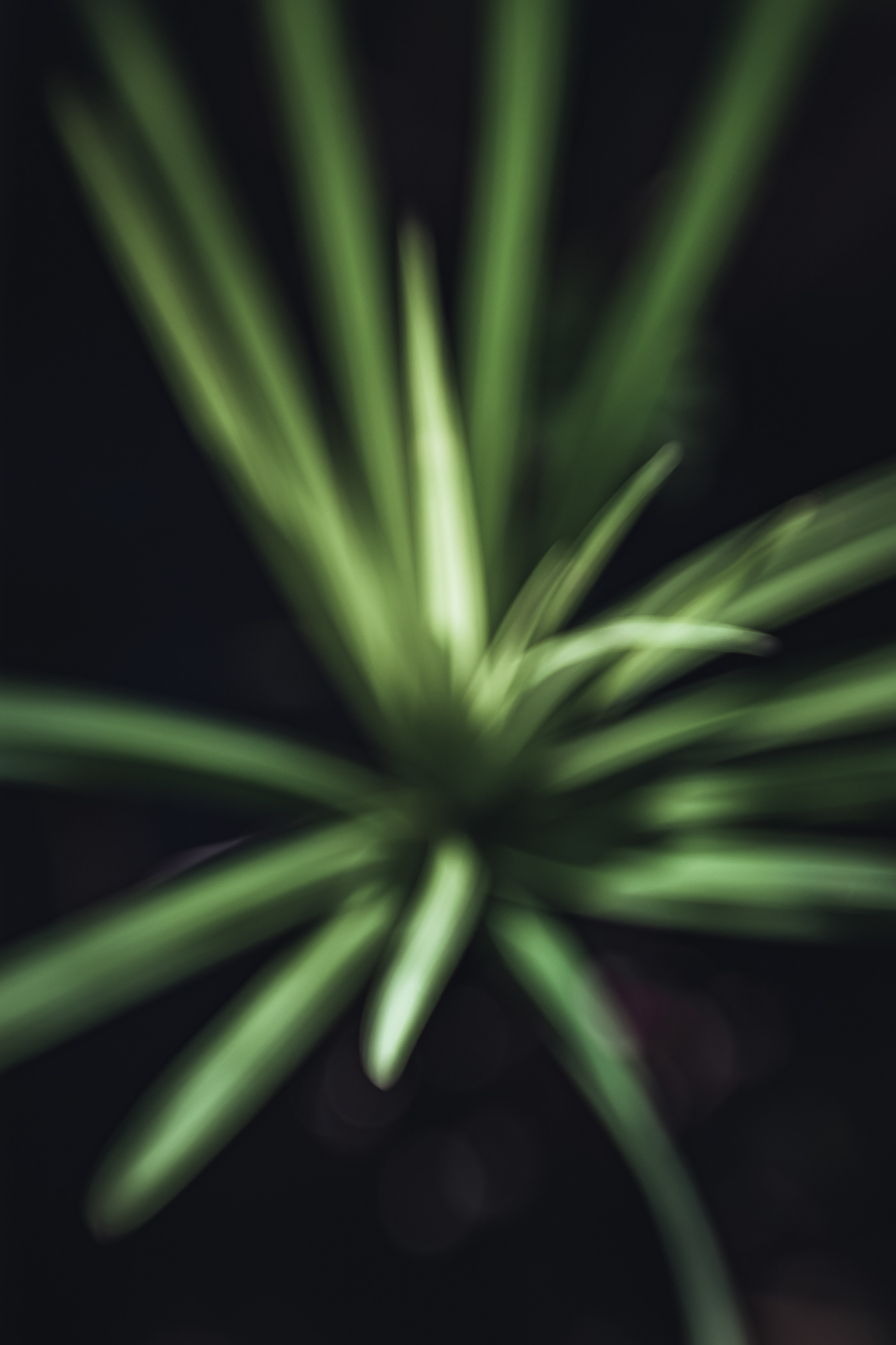 Burst