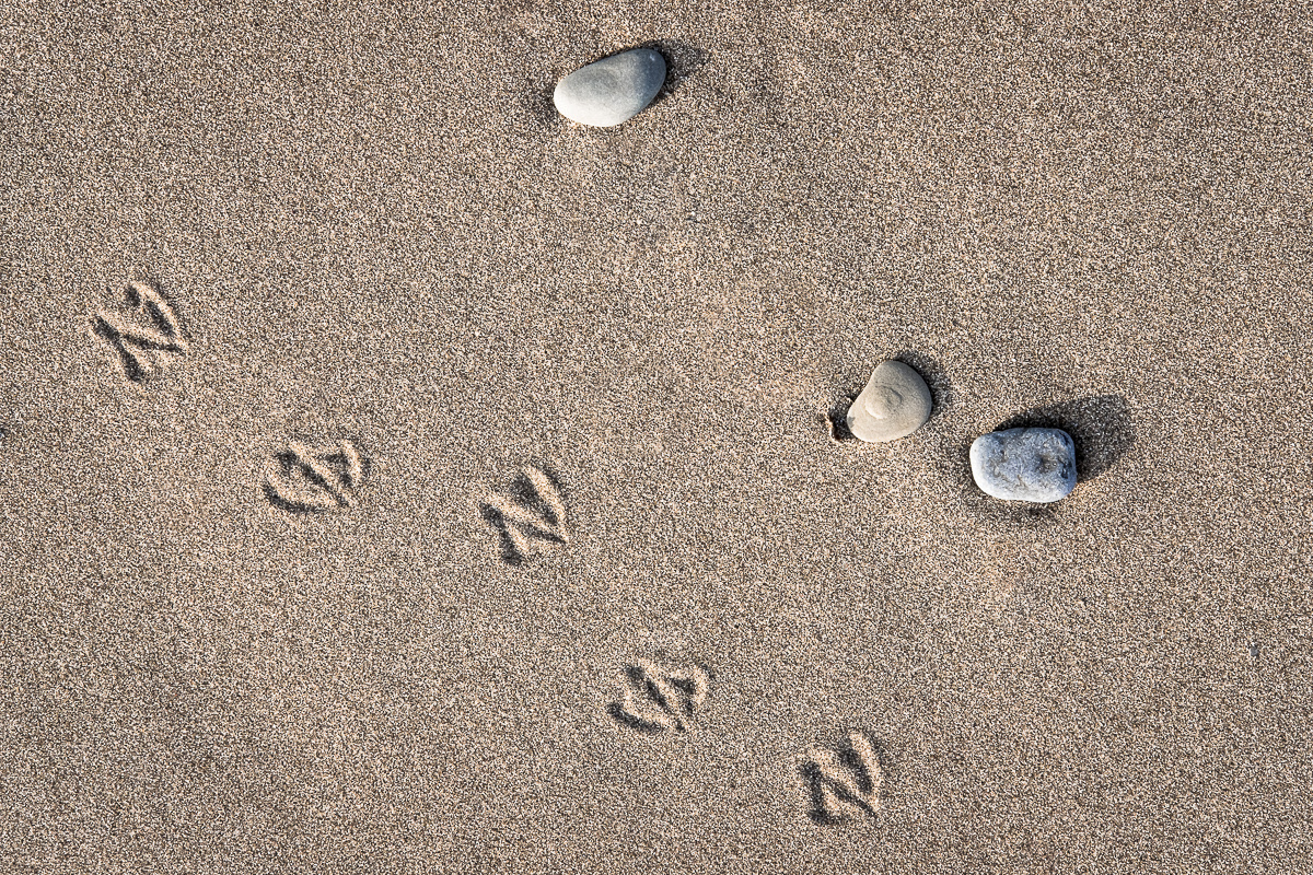 Impermanence