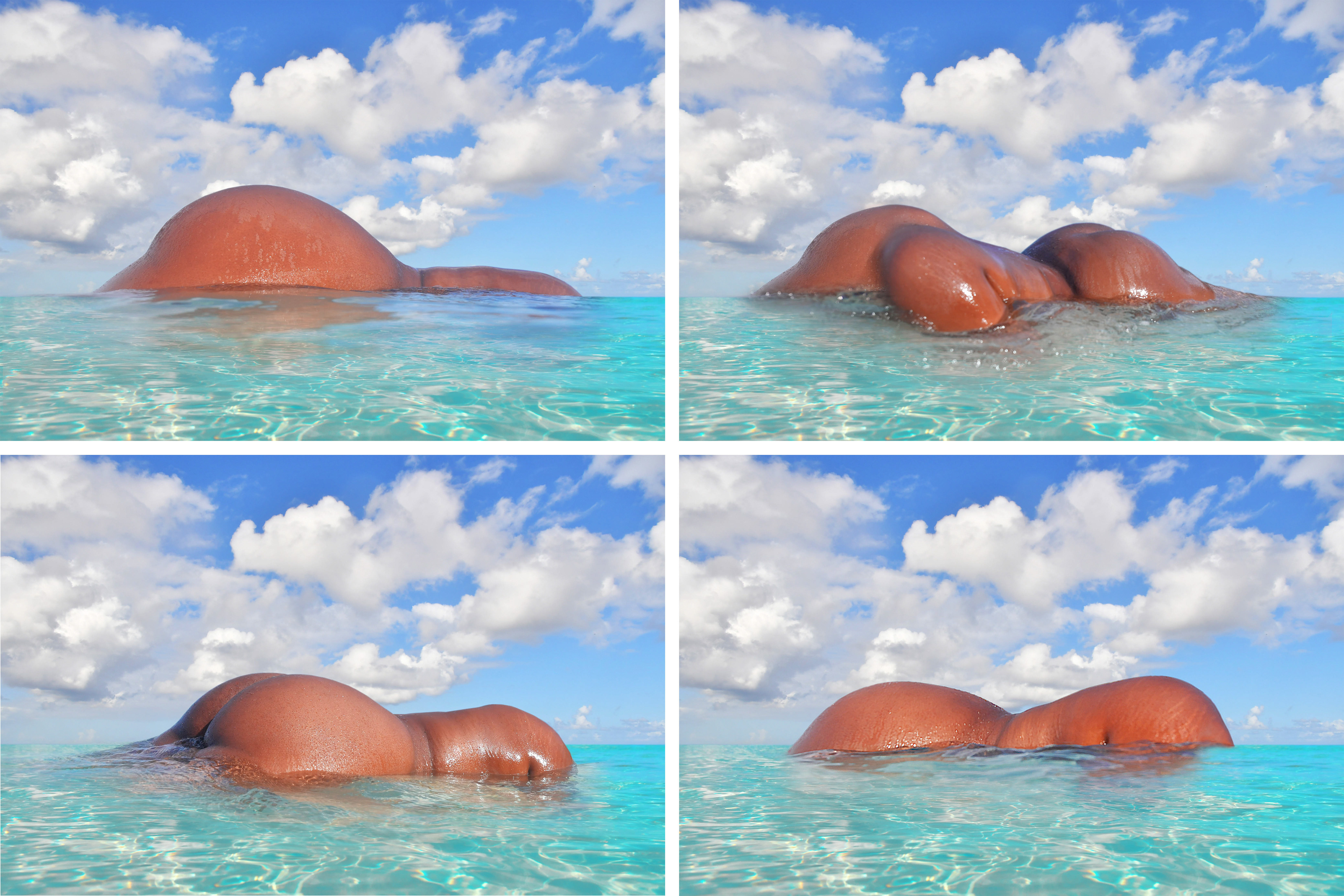 Study of The Island Form