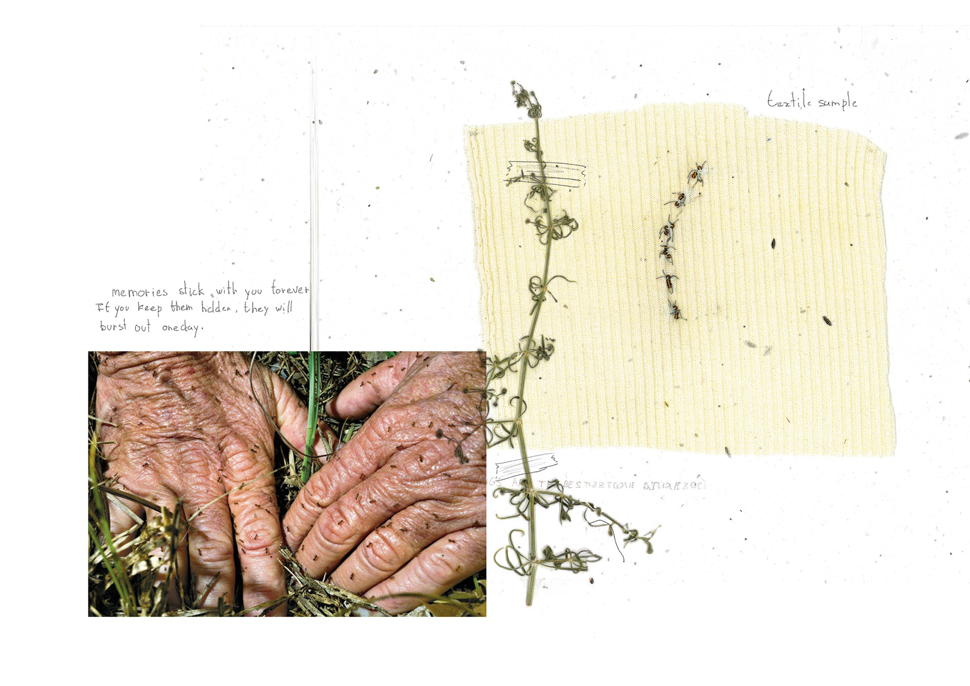 Textile Manipulation