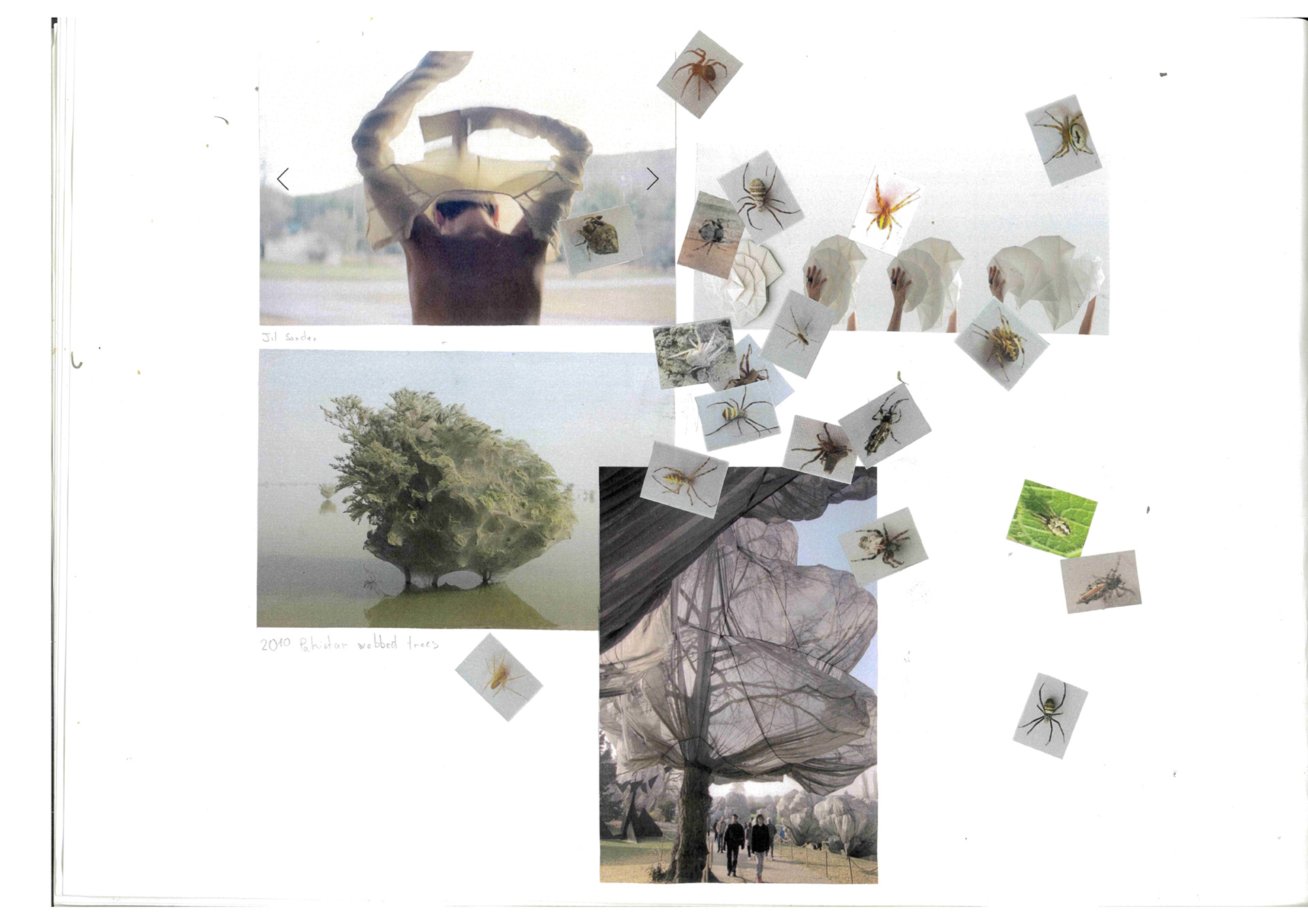 Moodboard 1