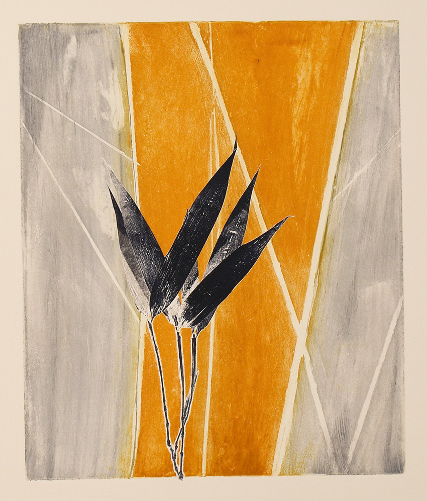 Berkeley windows, 2018. Aquatint etching and collagraph plate size 25x30 cm paper size 42x50 cm