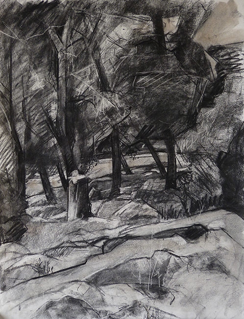 Moon grove1. 2014 | Charcoal on paper
