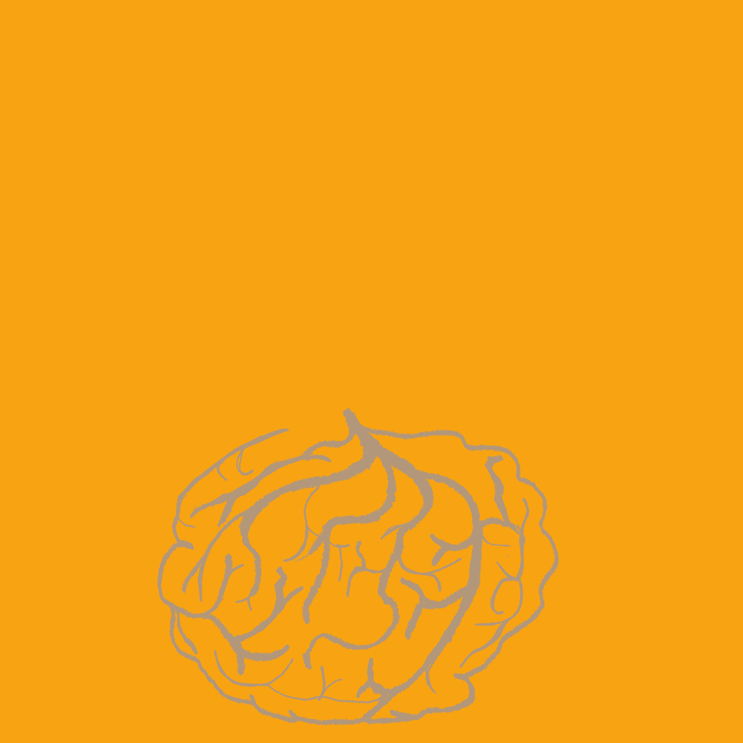 alcohol and tobacco gif 5 Unicef module