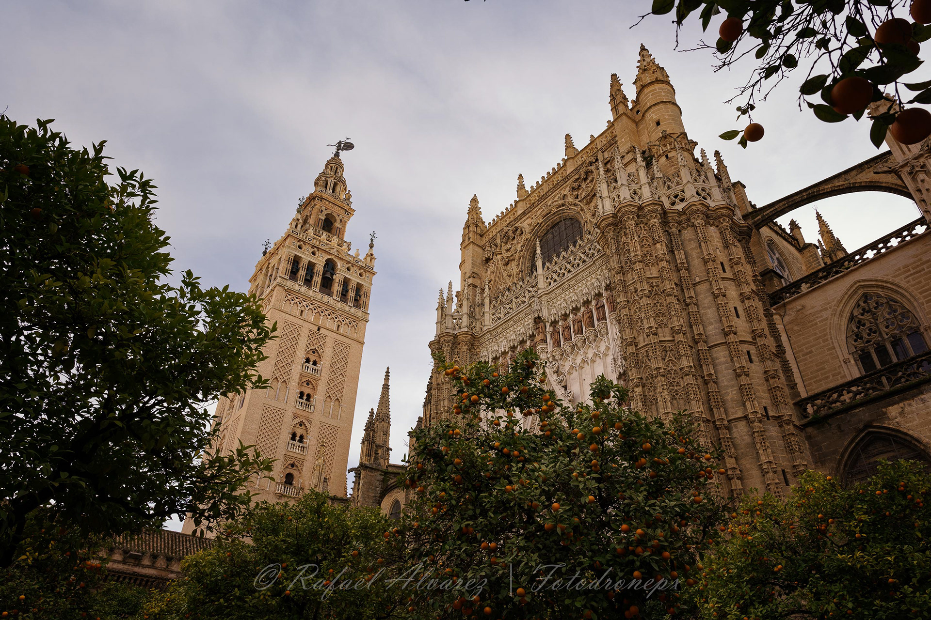 Catedral de Sevilla