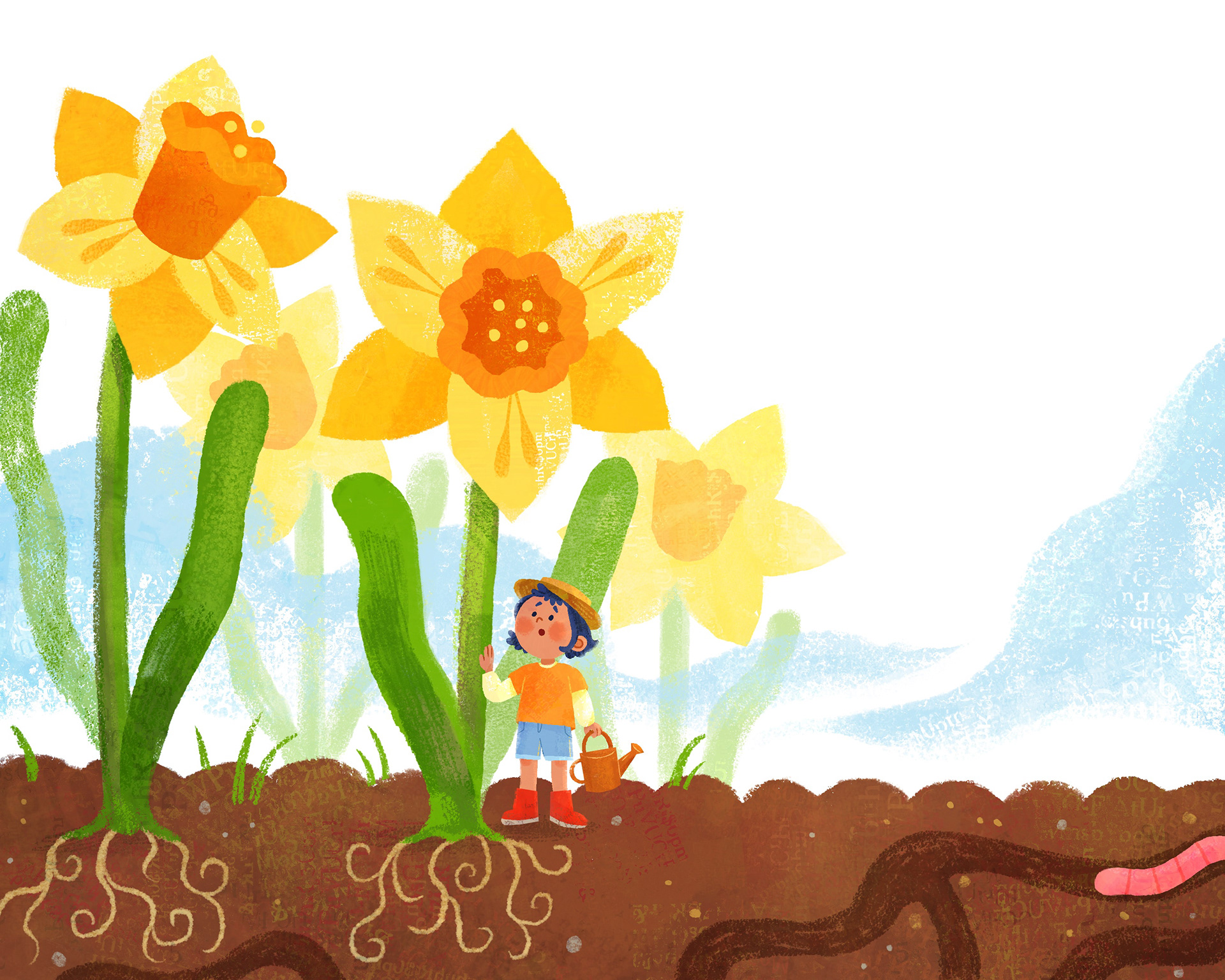 Among the Daffodils