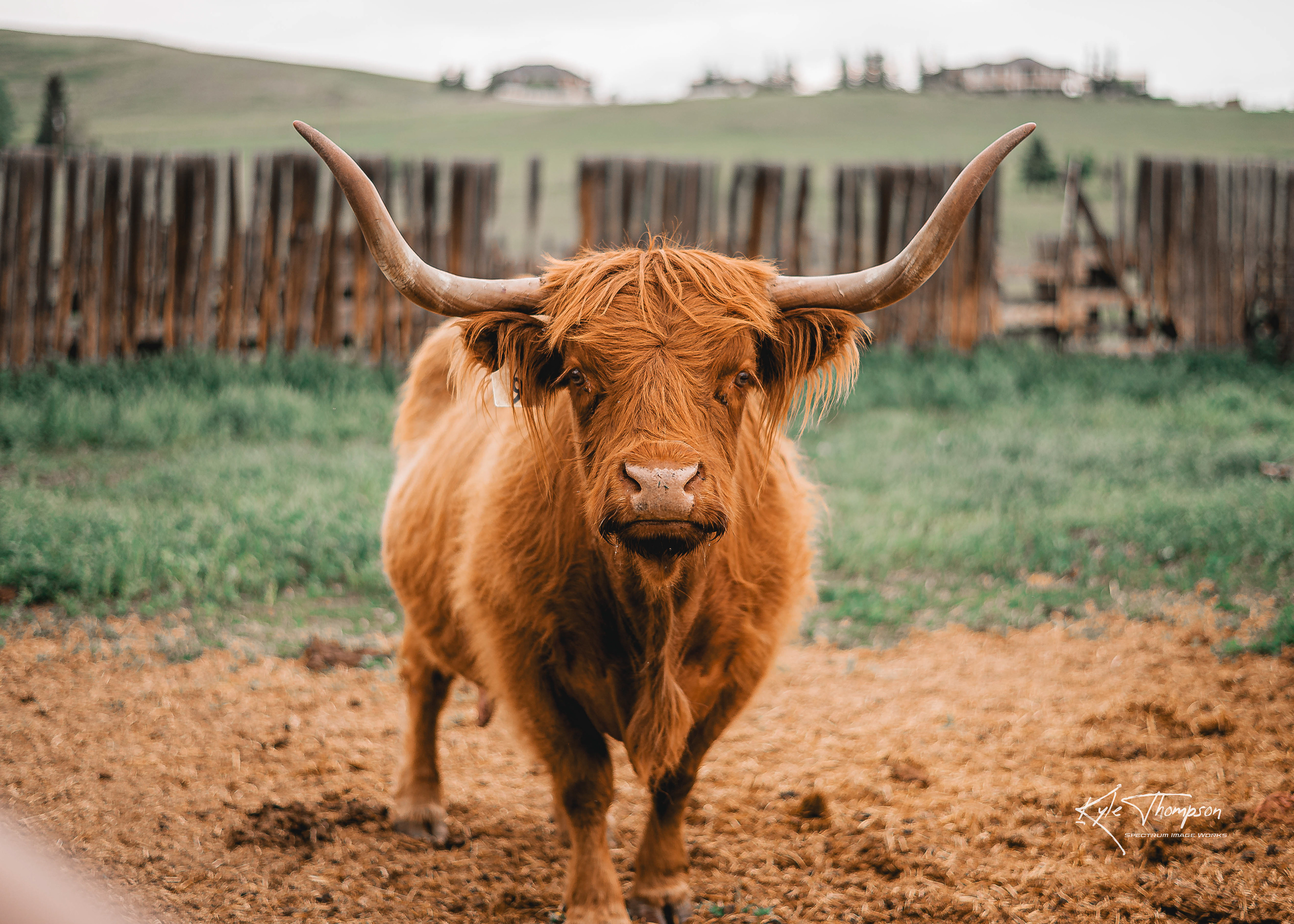 Hartell Homestead - High River, AB