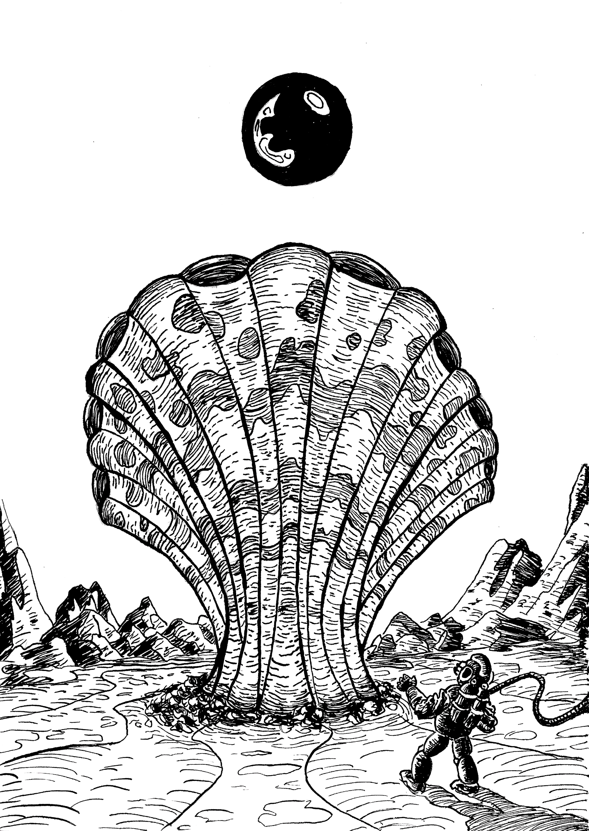 #4 Molusco